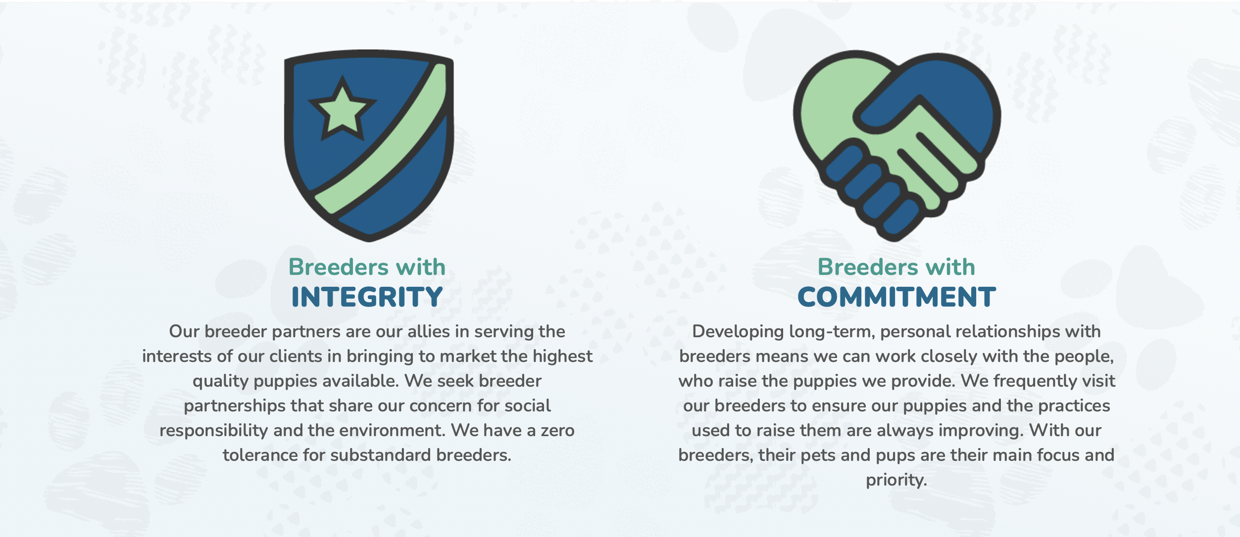 premier pups breeders with commitment breeders with integrity