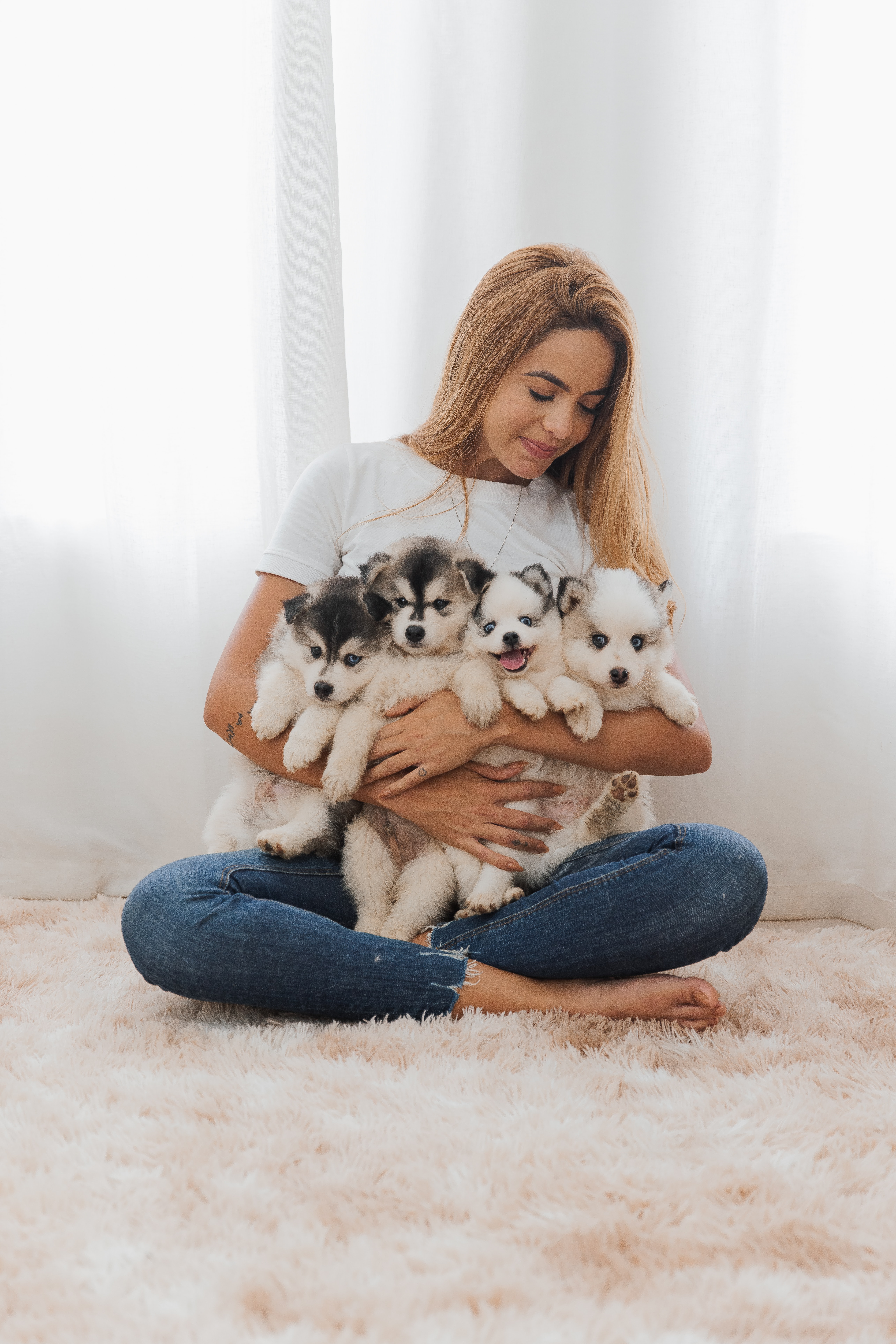 woman holding four young puppies