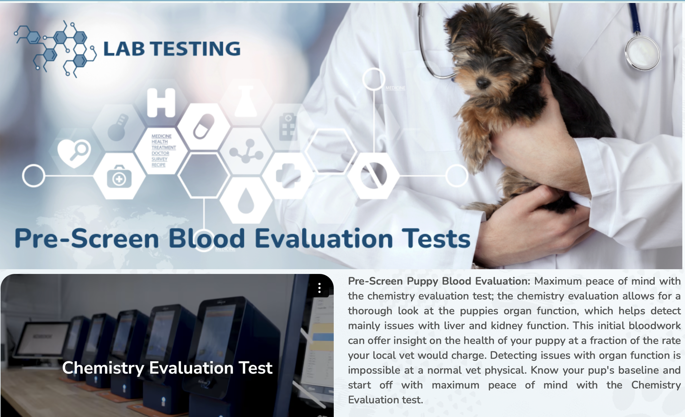 premier pups image of blood evaluation tests