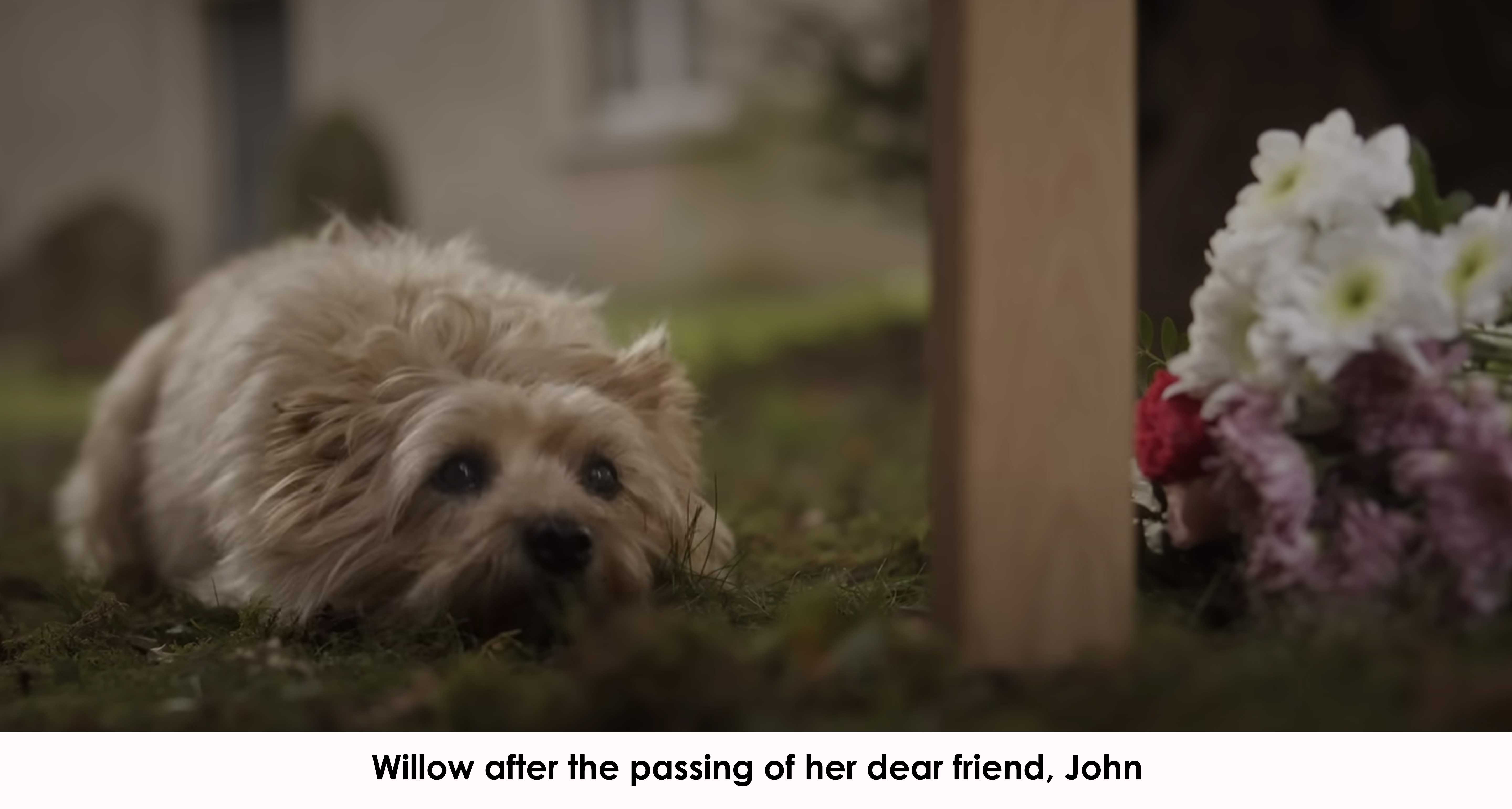 Willow after the passing of her dead friend, John