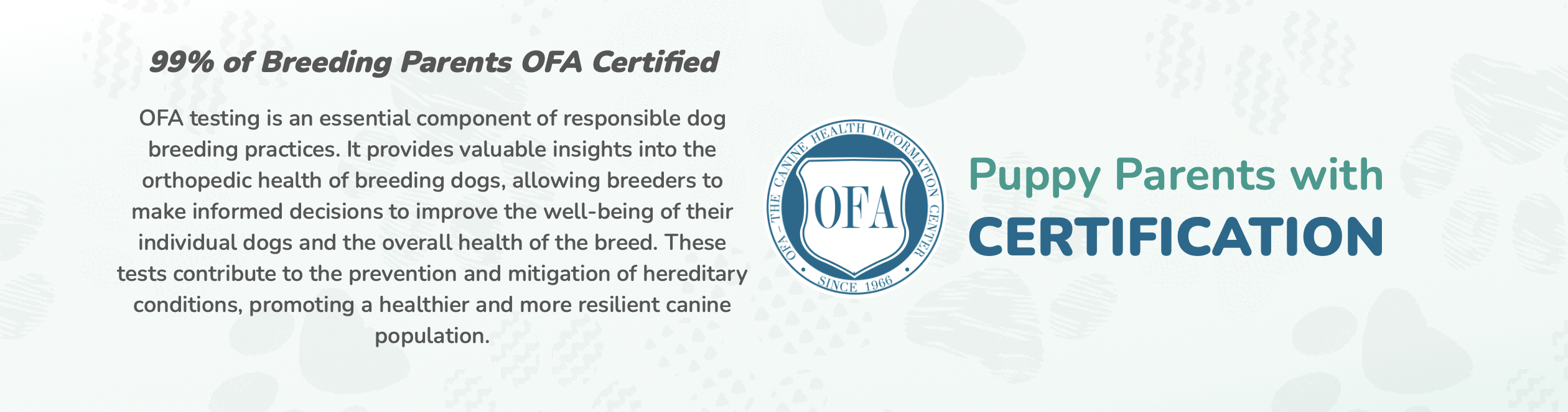 premier pups parent dog certifications