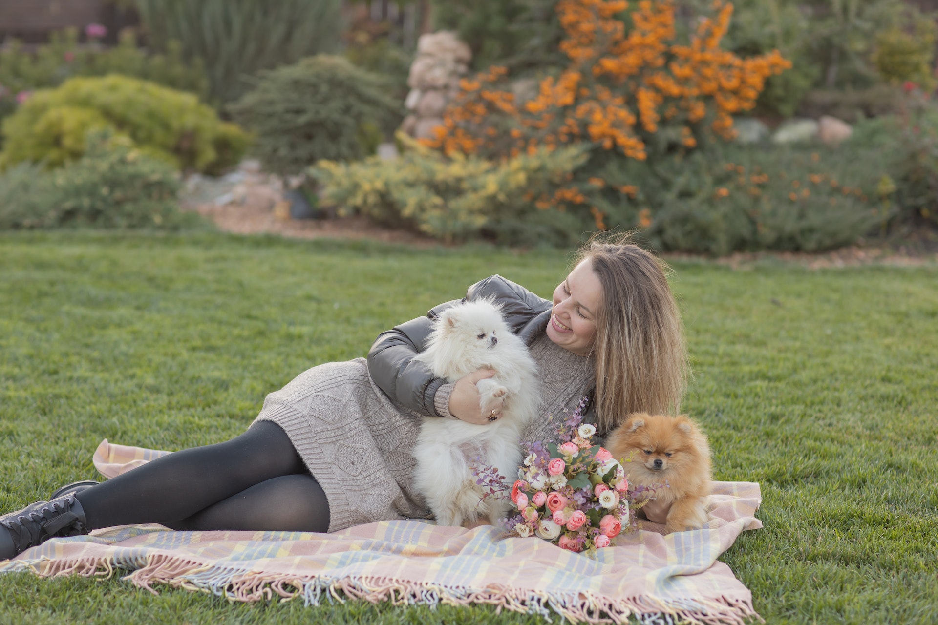 woman with two Pomeranian dogs