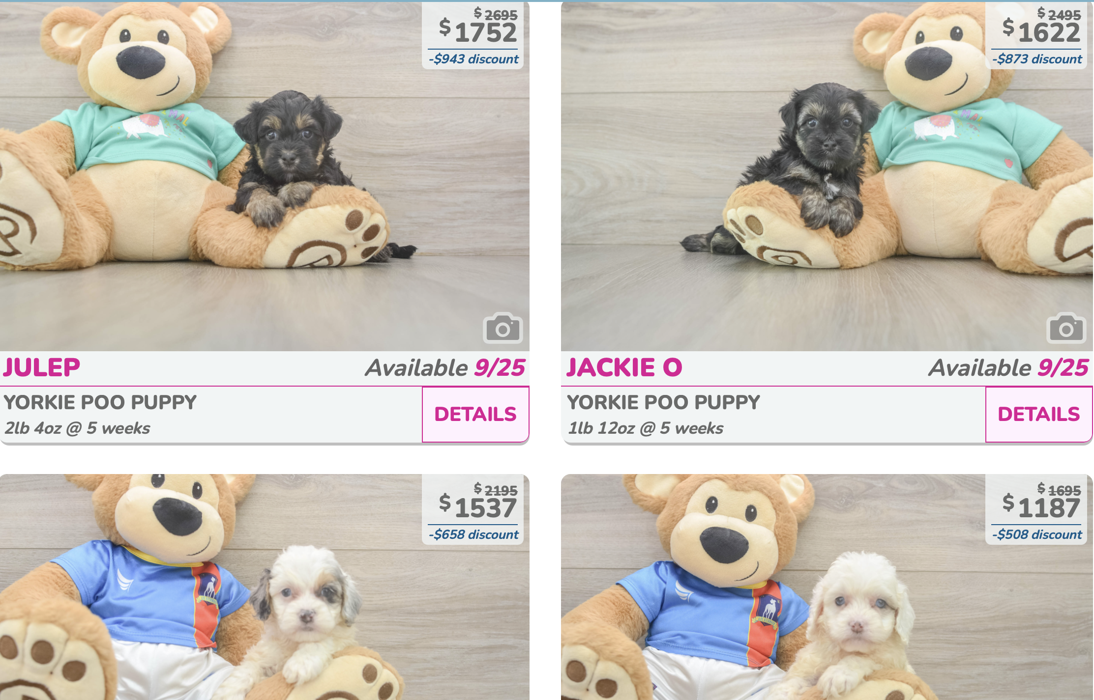 image showing 4 available puppies for sale at premier pups