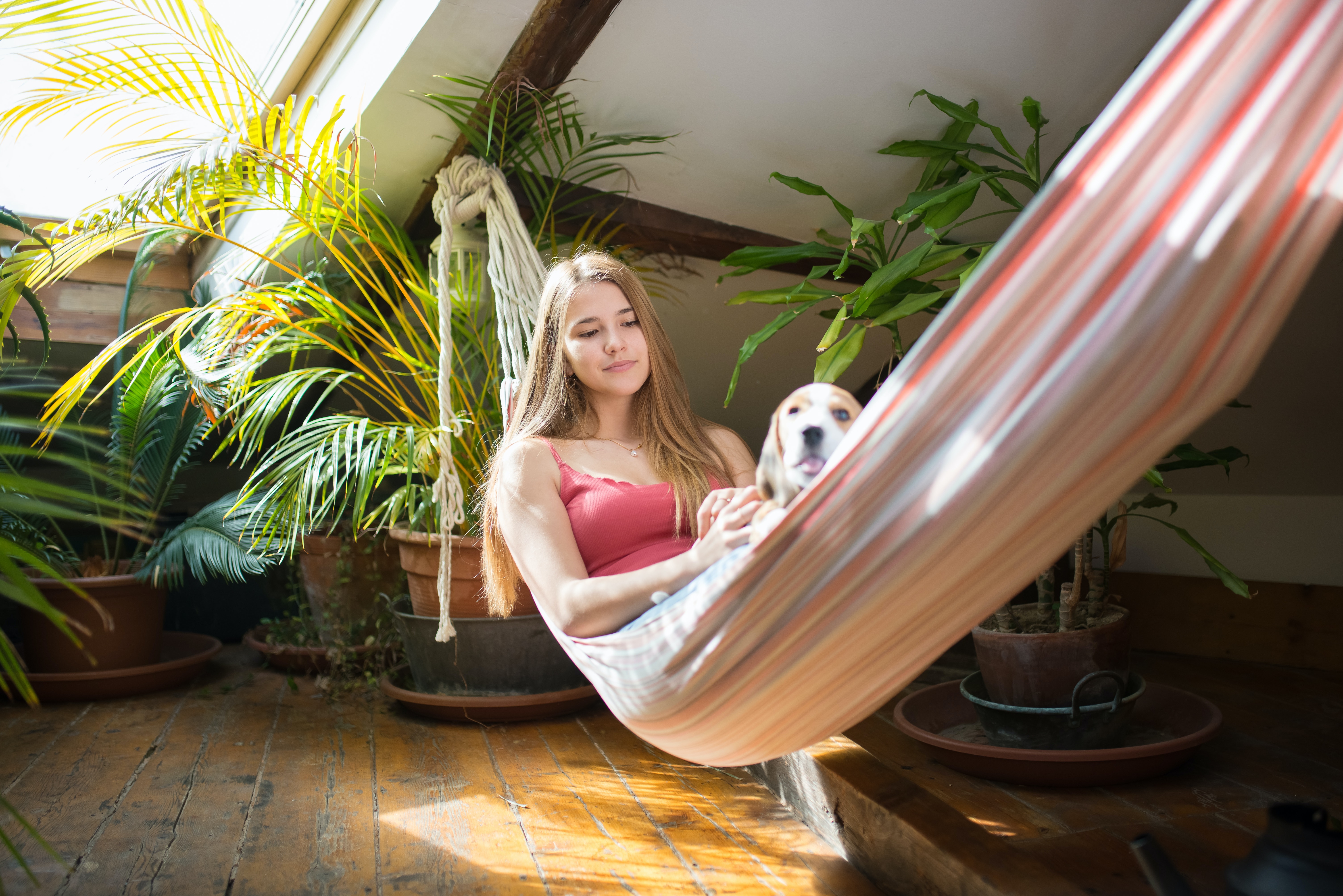 person sitting in a hammock with a puppy