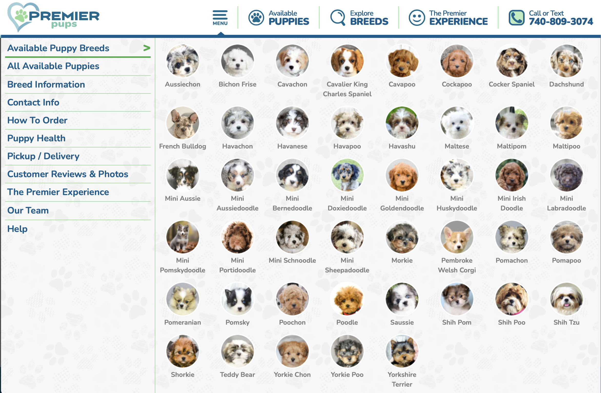 premier pups available breeds menu