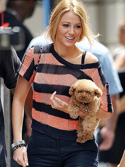 Blake Lively walking while holding her Maltipoo dog on her arm