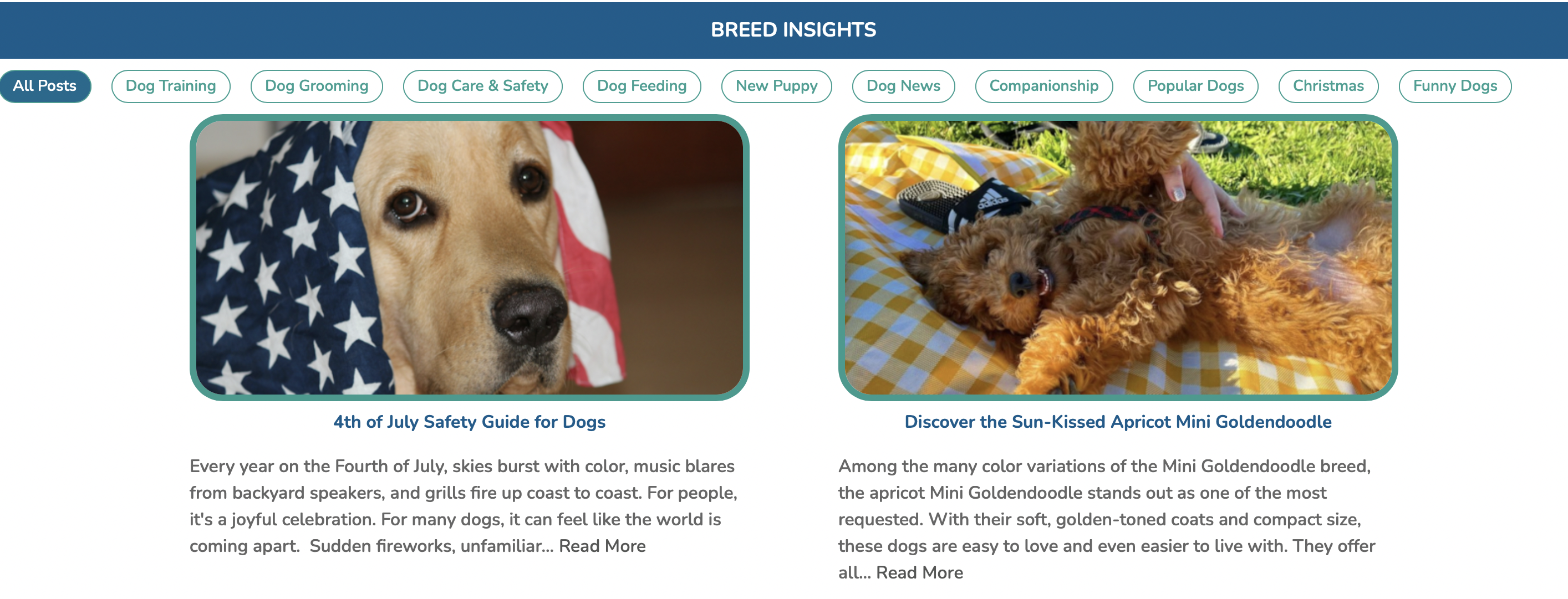 premier pups image of two articles in the premier pups blog
