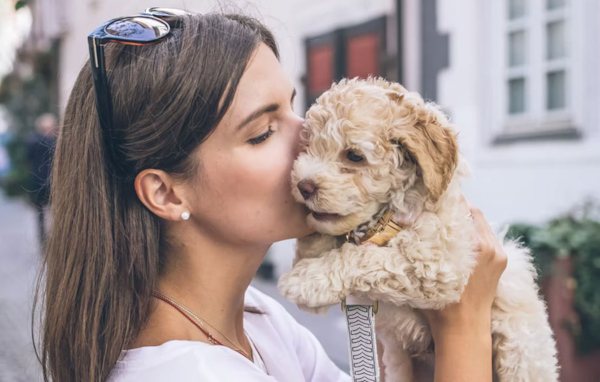 The 'Lassie Effect' Can Motivate Exercise