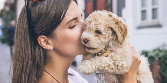 6 Reasons why you should get a dog