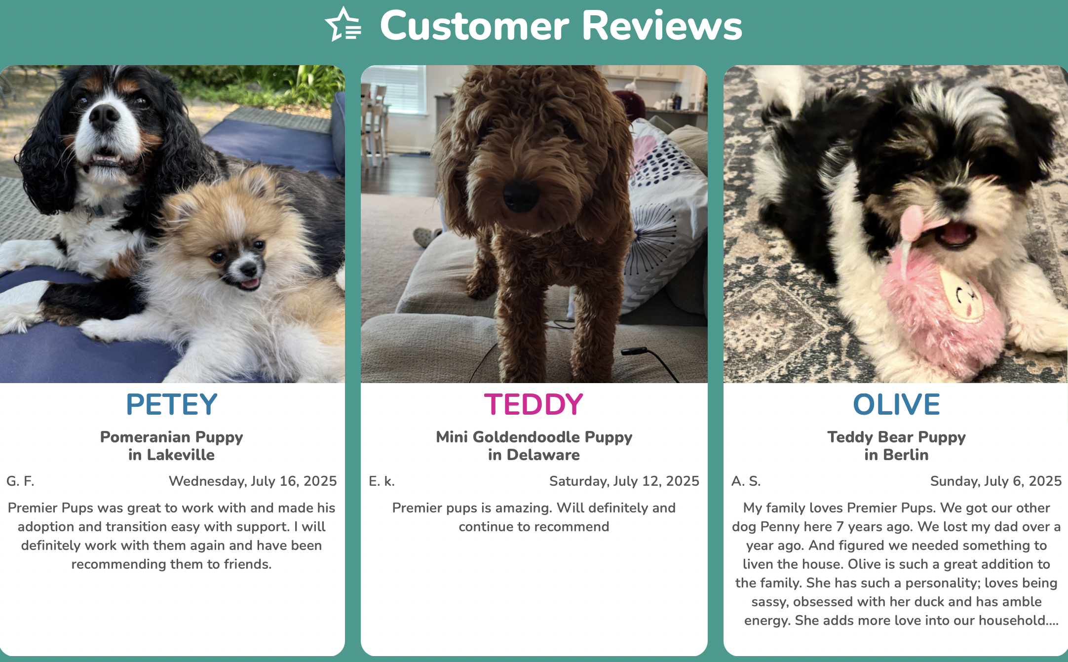 premier pups reviews, customer reviews of premier pups