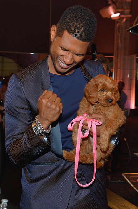 Usher holding his brown Mini Goldendoodle puppy