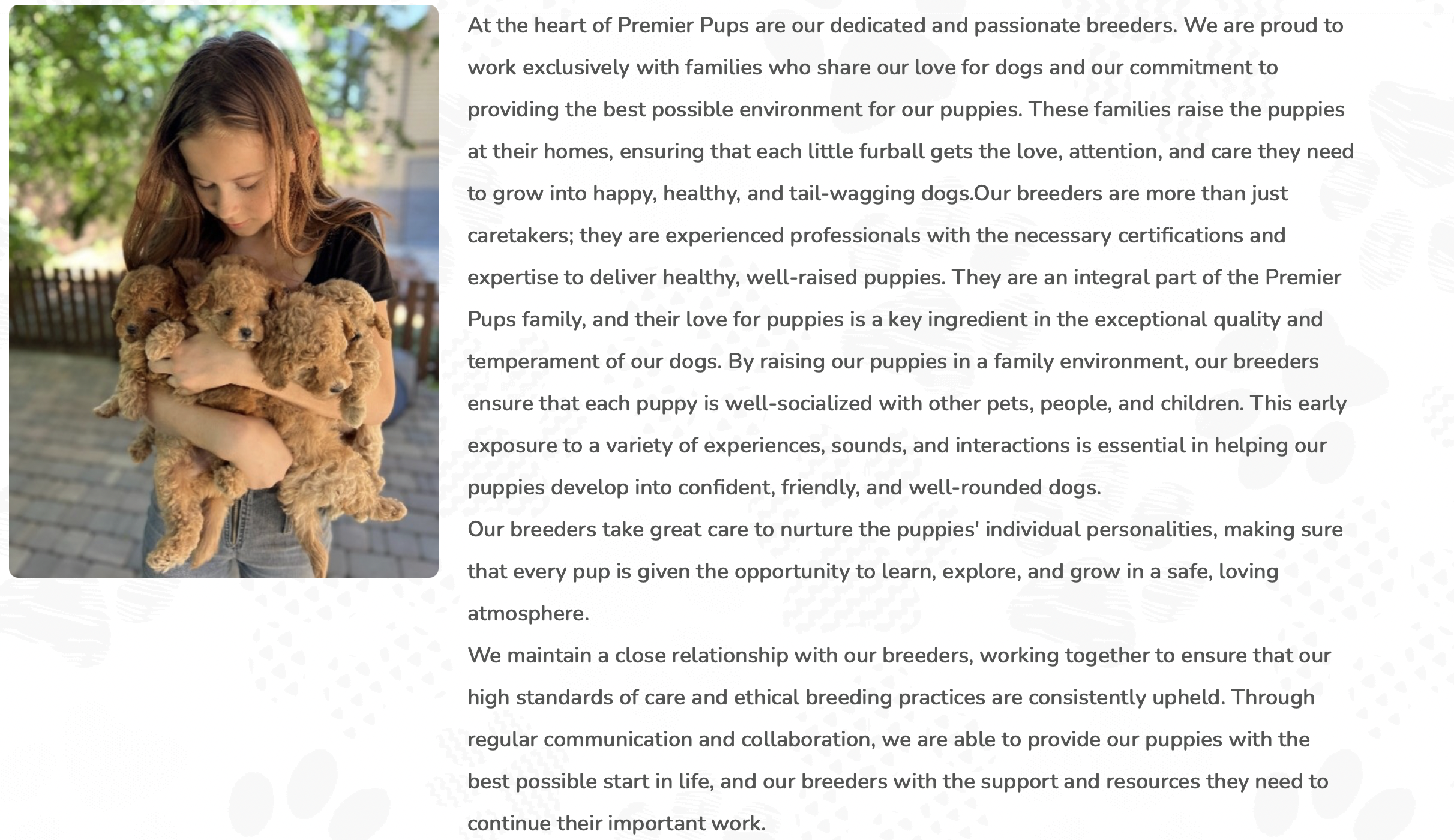 premier pups breeders