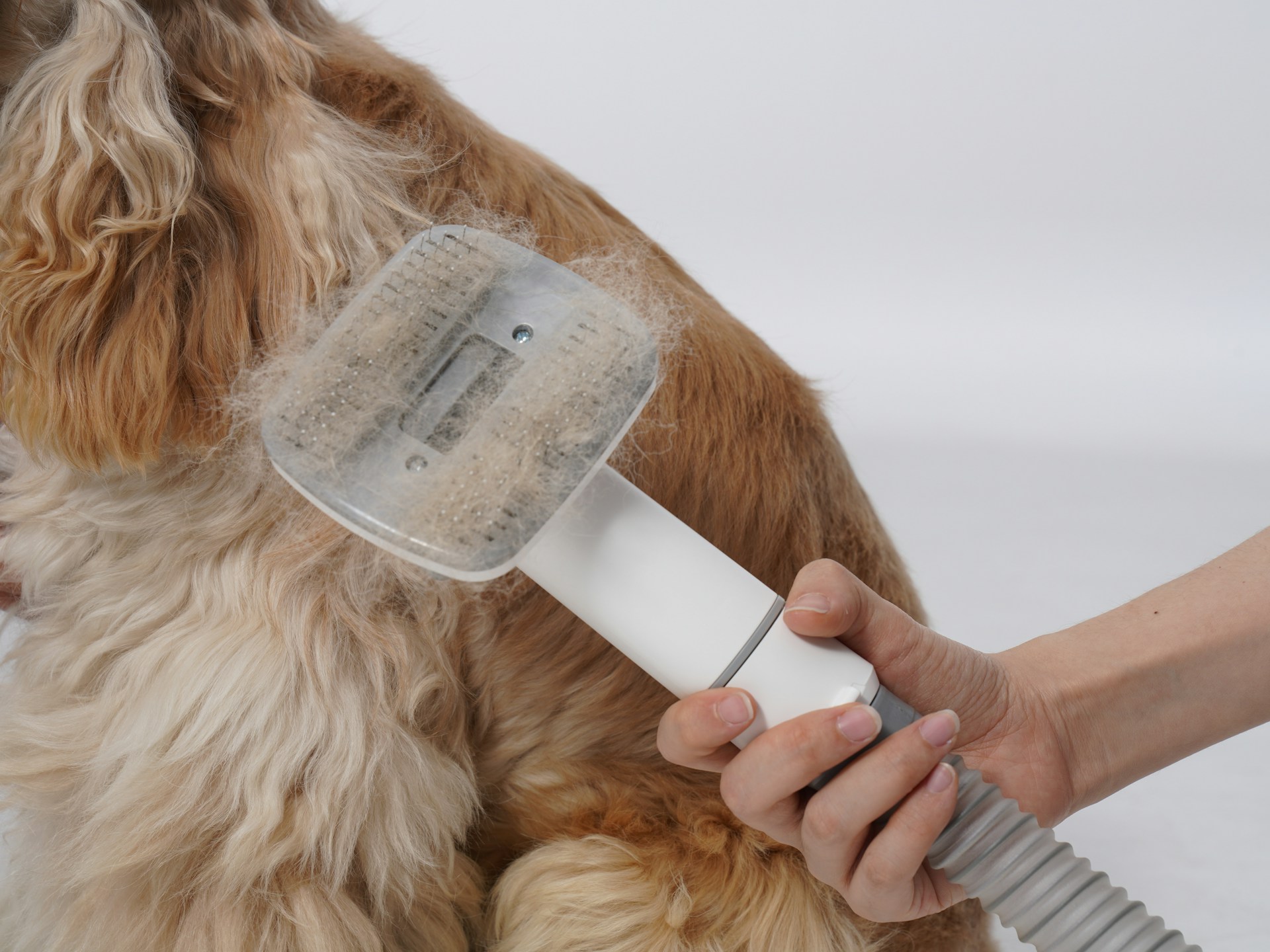 dog grooming tools for cockapoo coats