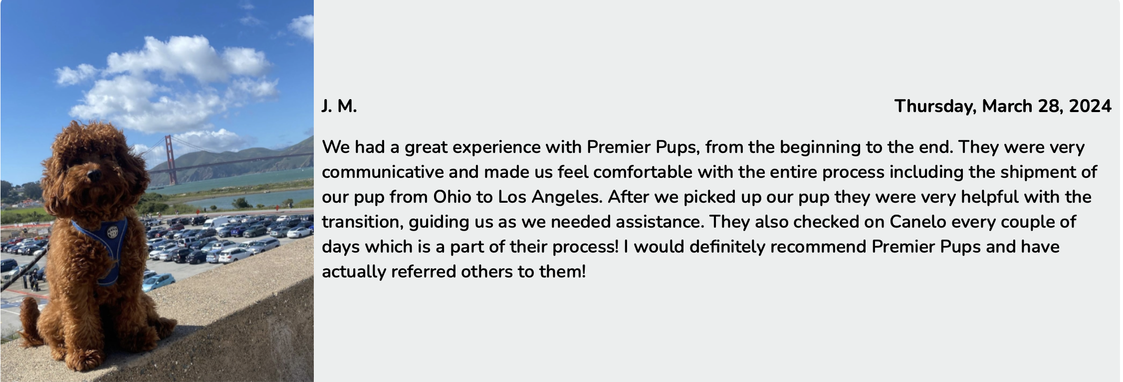 Premier Pups Customer Review for Cavapoo puppy