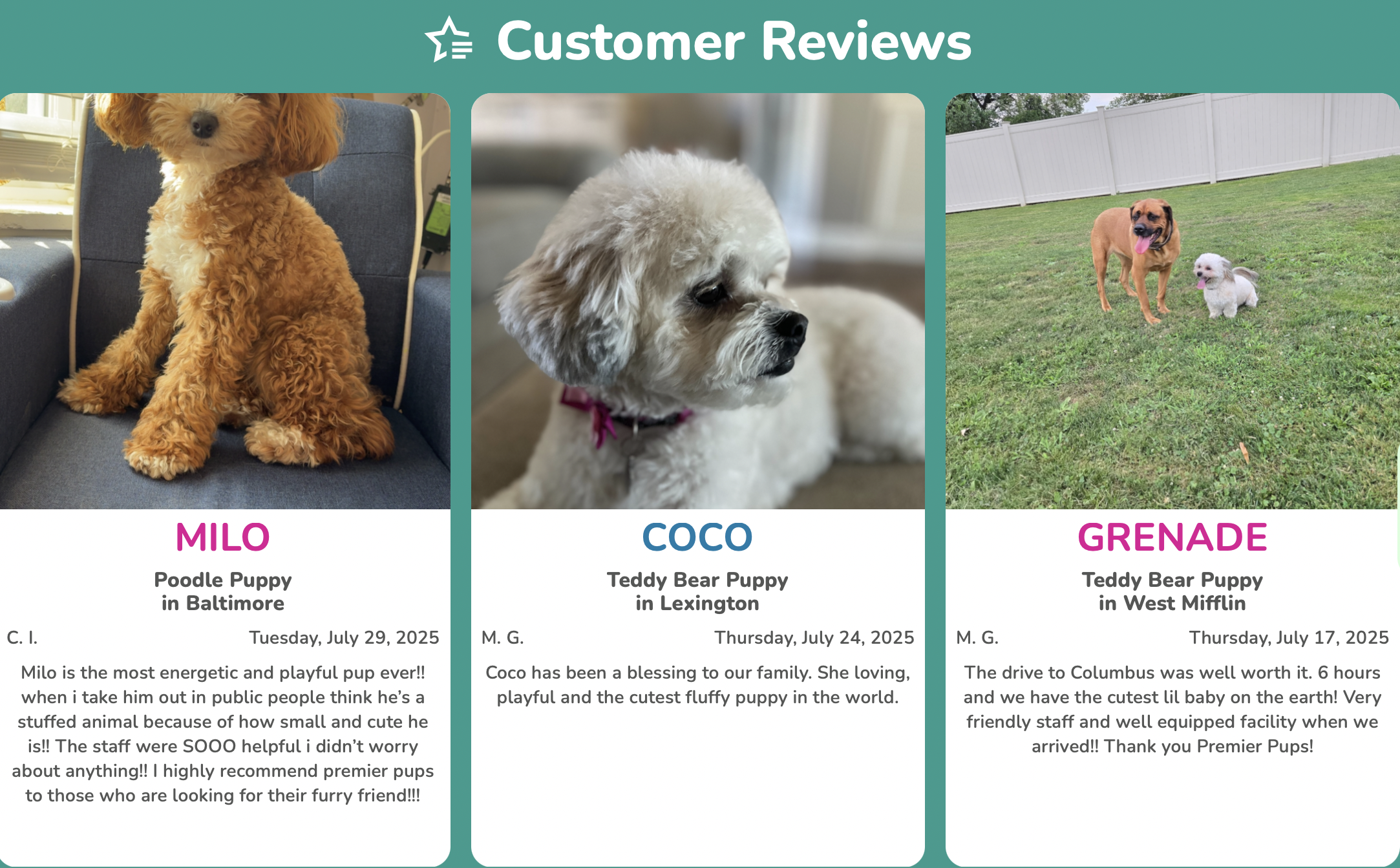 premier pups customer reviews