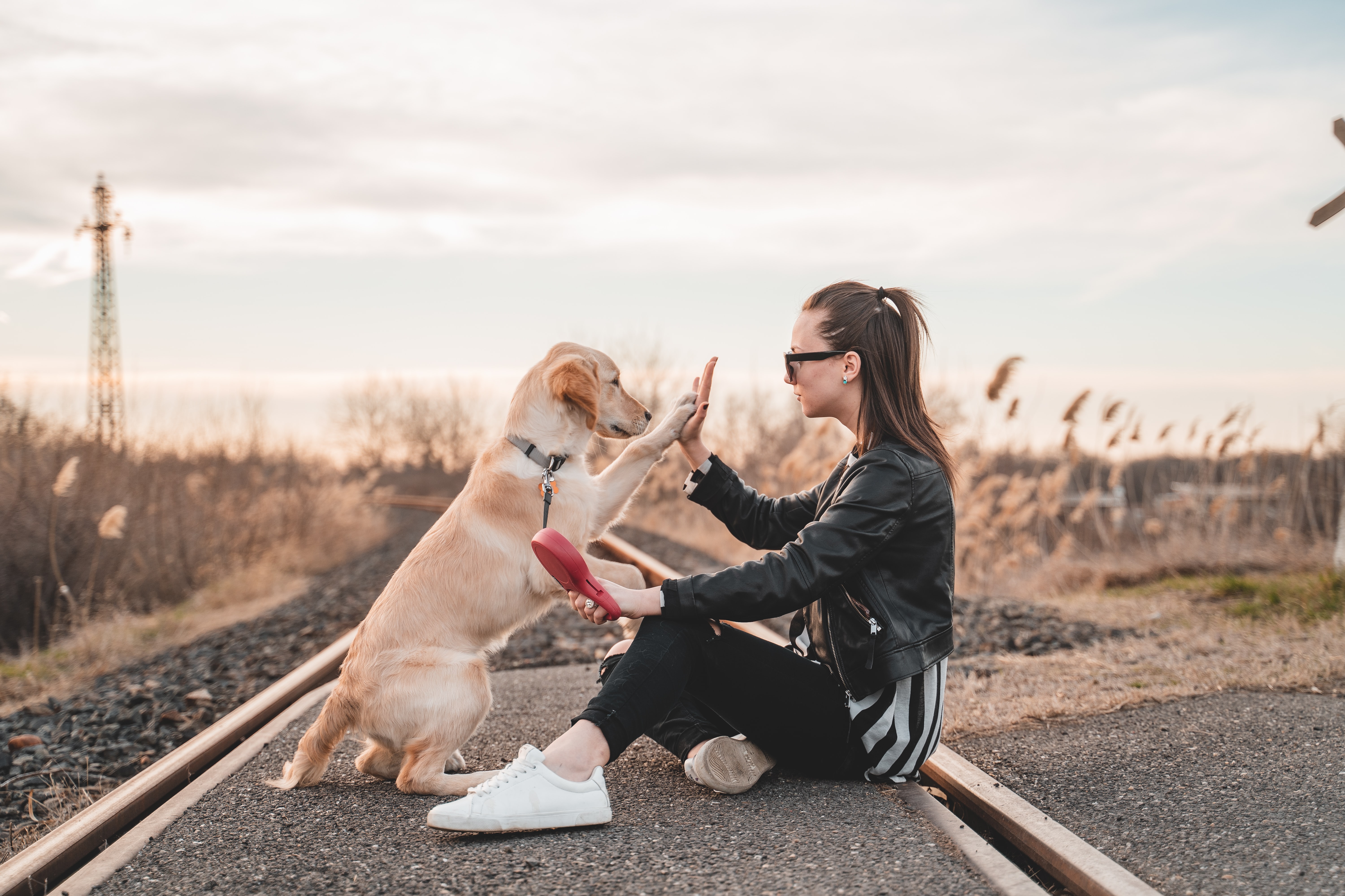 a woman and a dog doing a high five