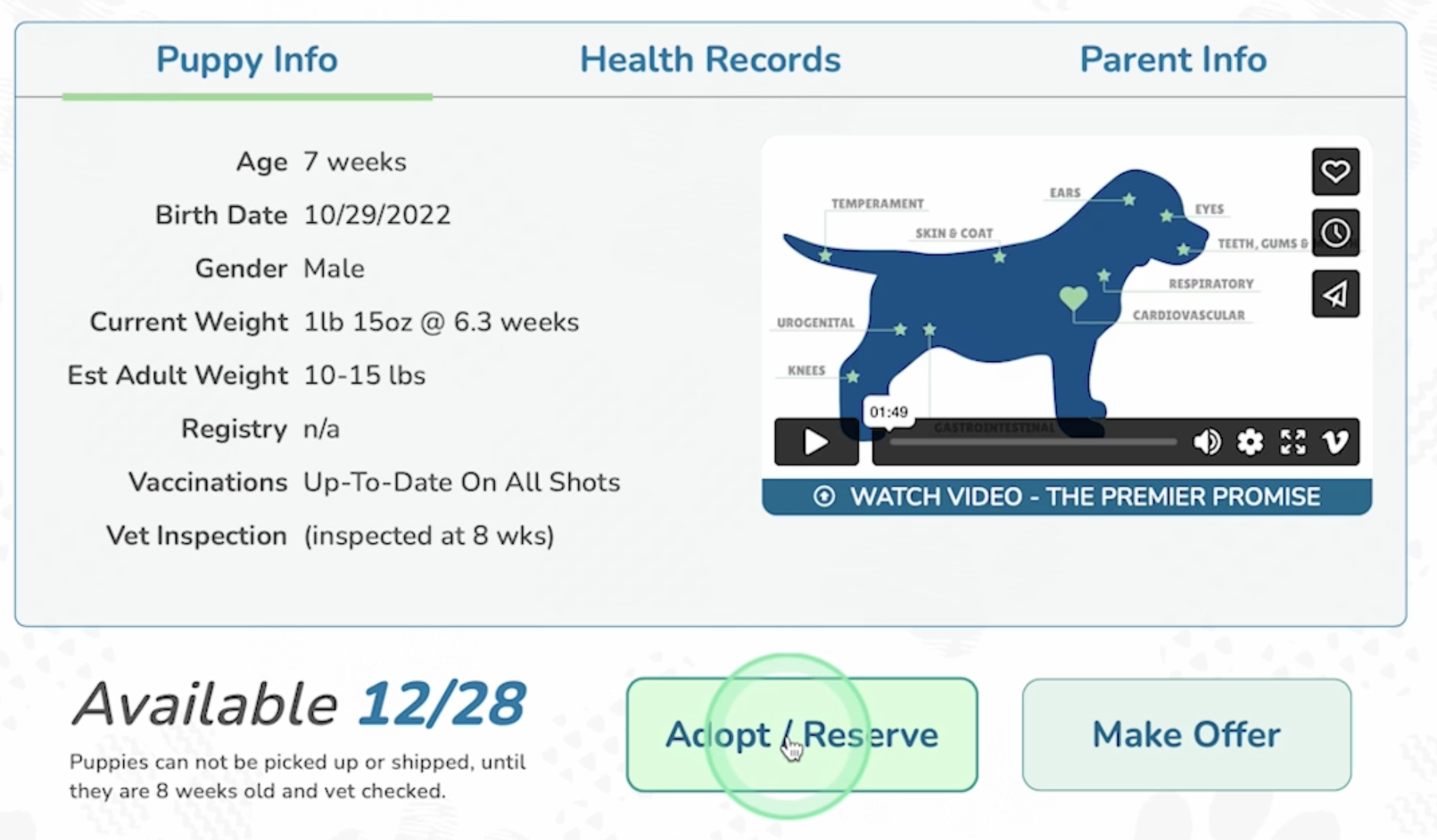 premier pups puppy adoption process