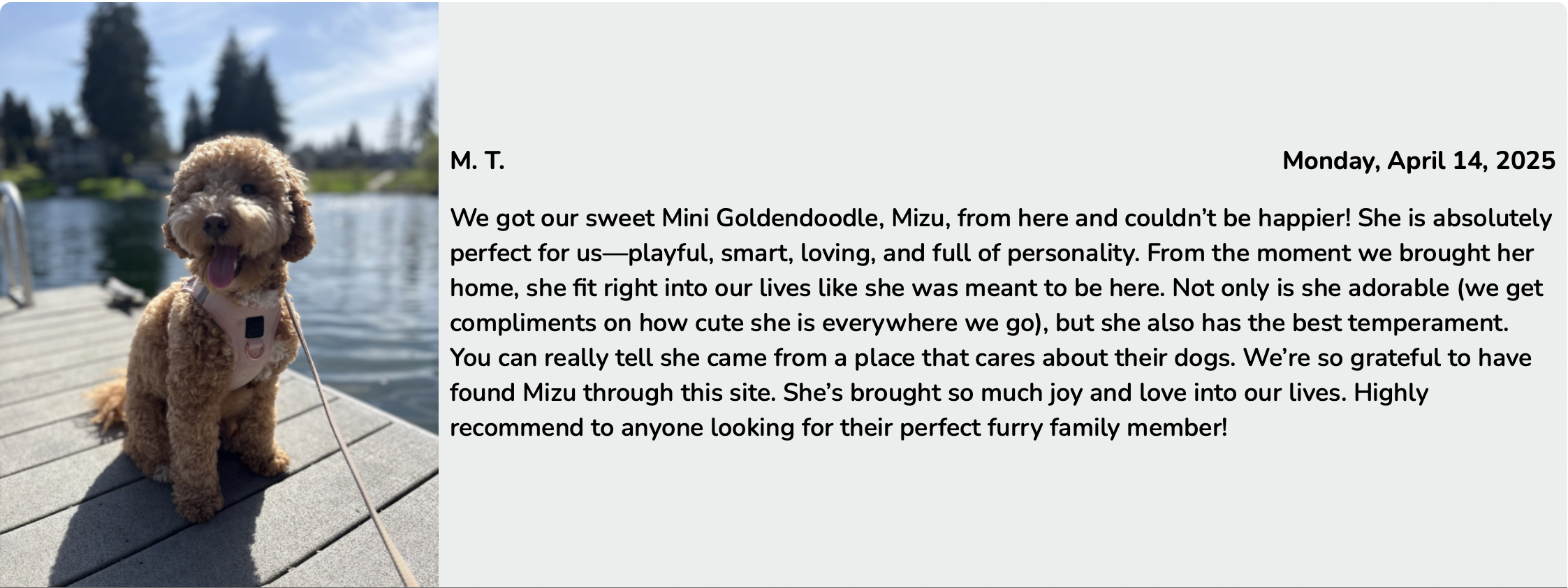 premier pups image of customer review