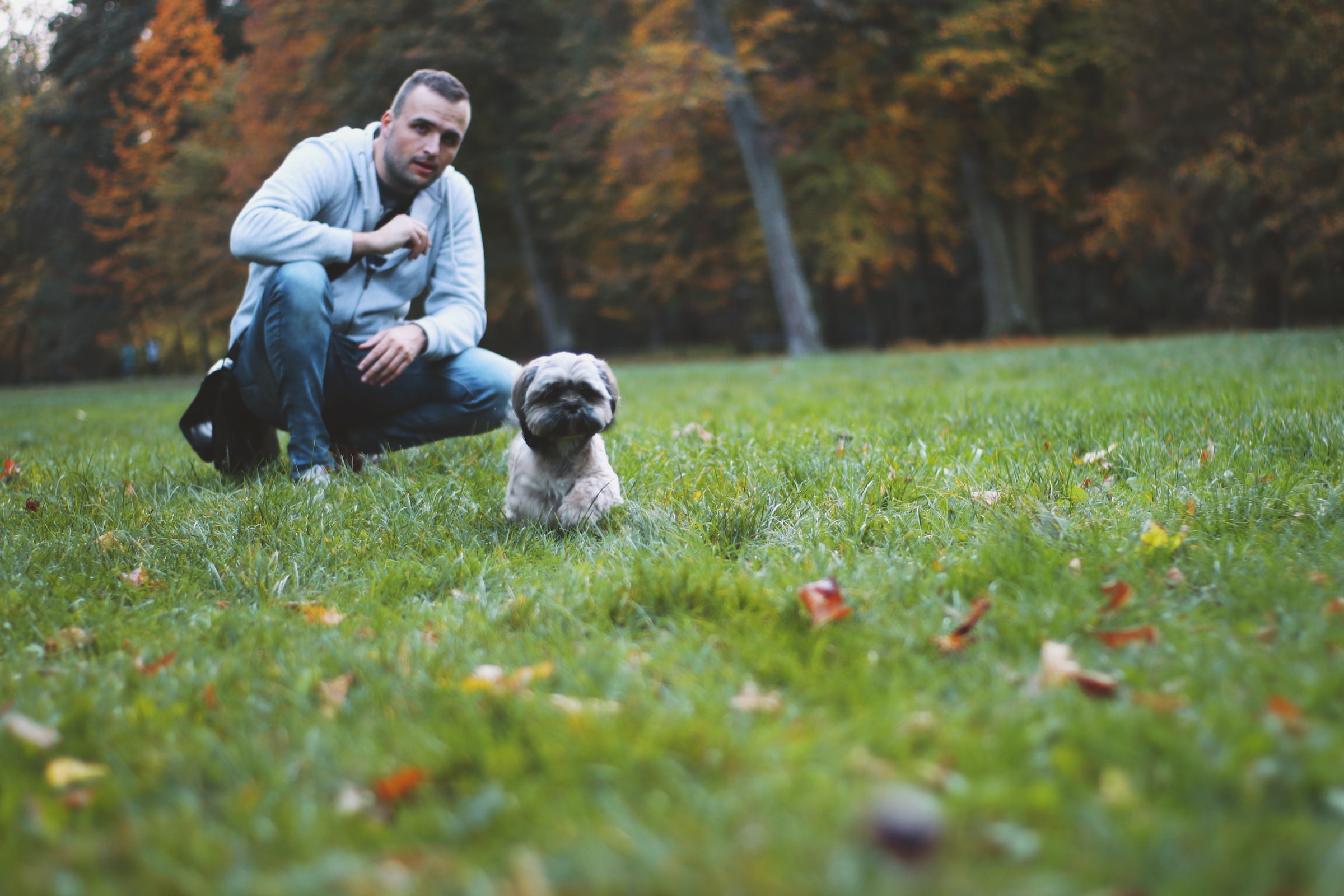 man and puppy outdoors on the grass