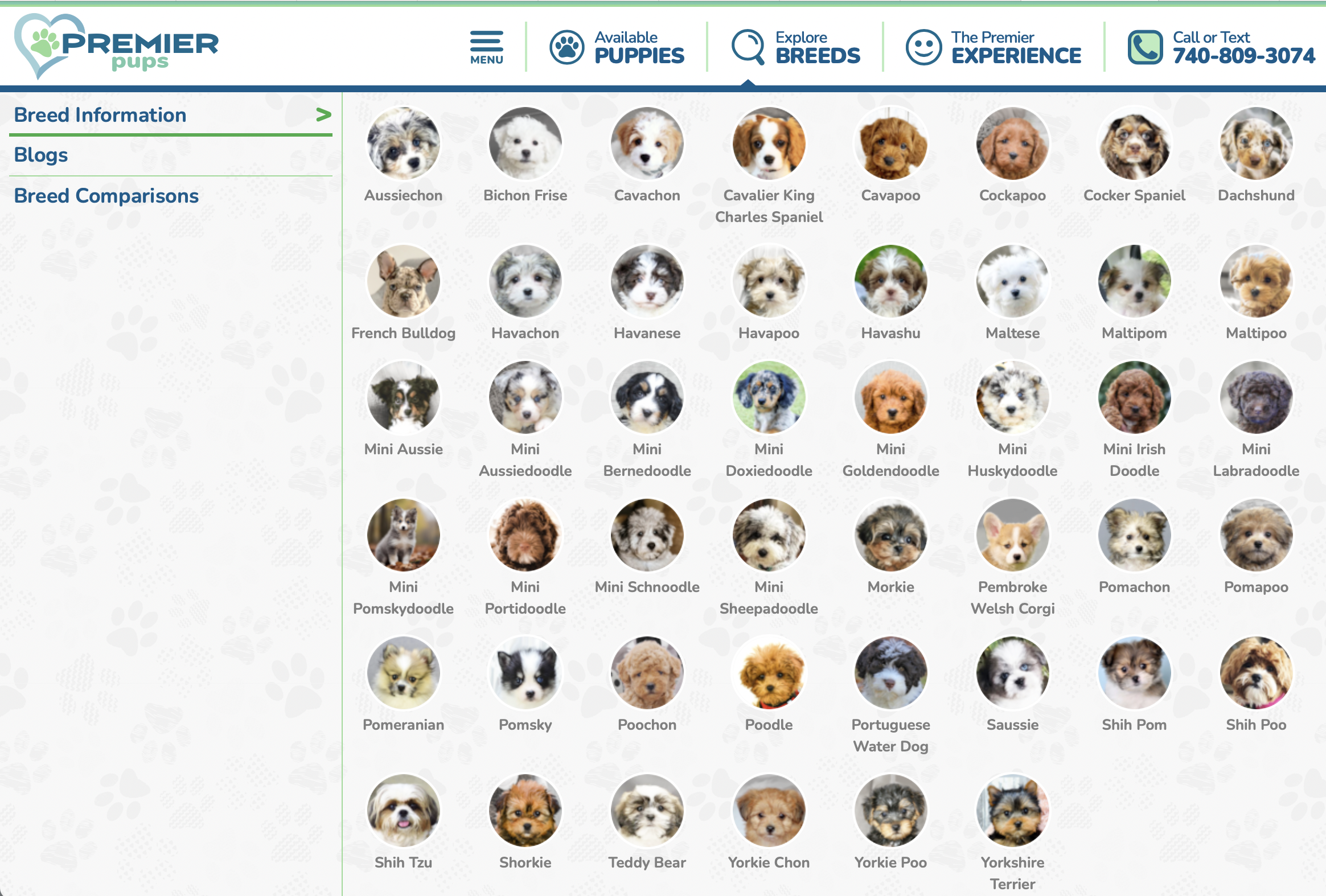 premier pups menu of breed information