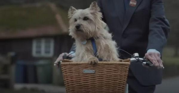 A Journey of Love and Friendship: The Emotional Rollercoaster of Lewis Capaldi's "Wish You The Best" Music Video
