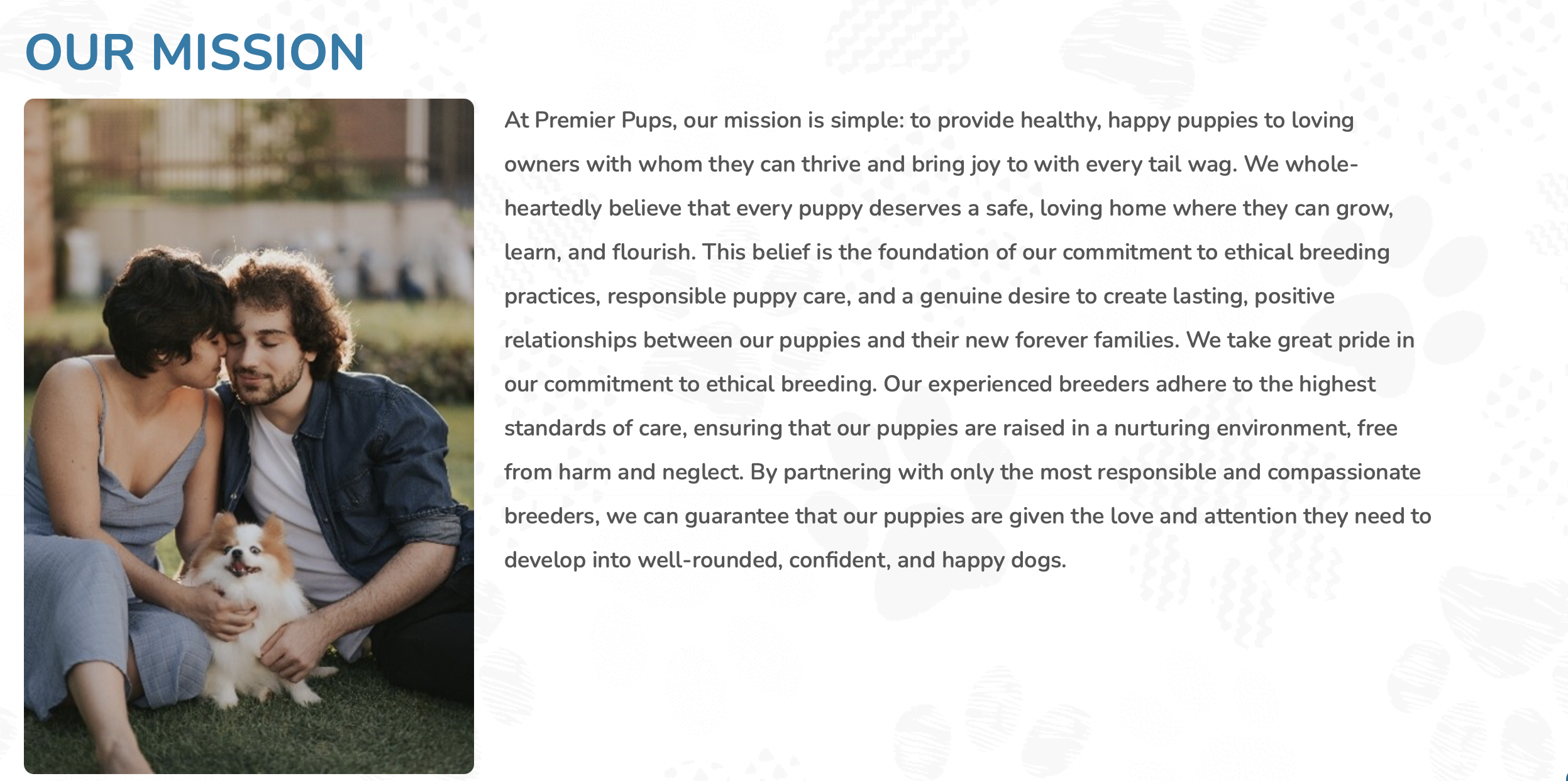 premier pups mission