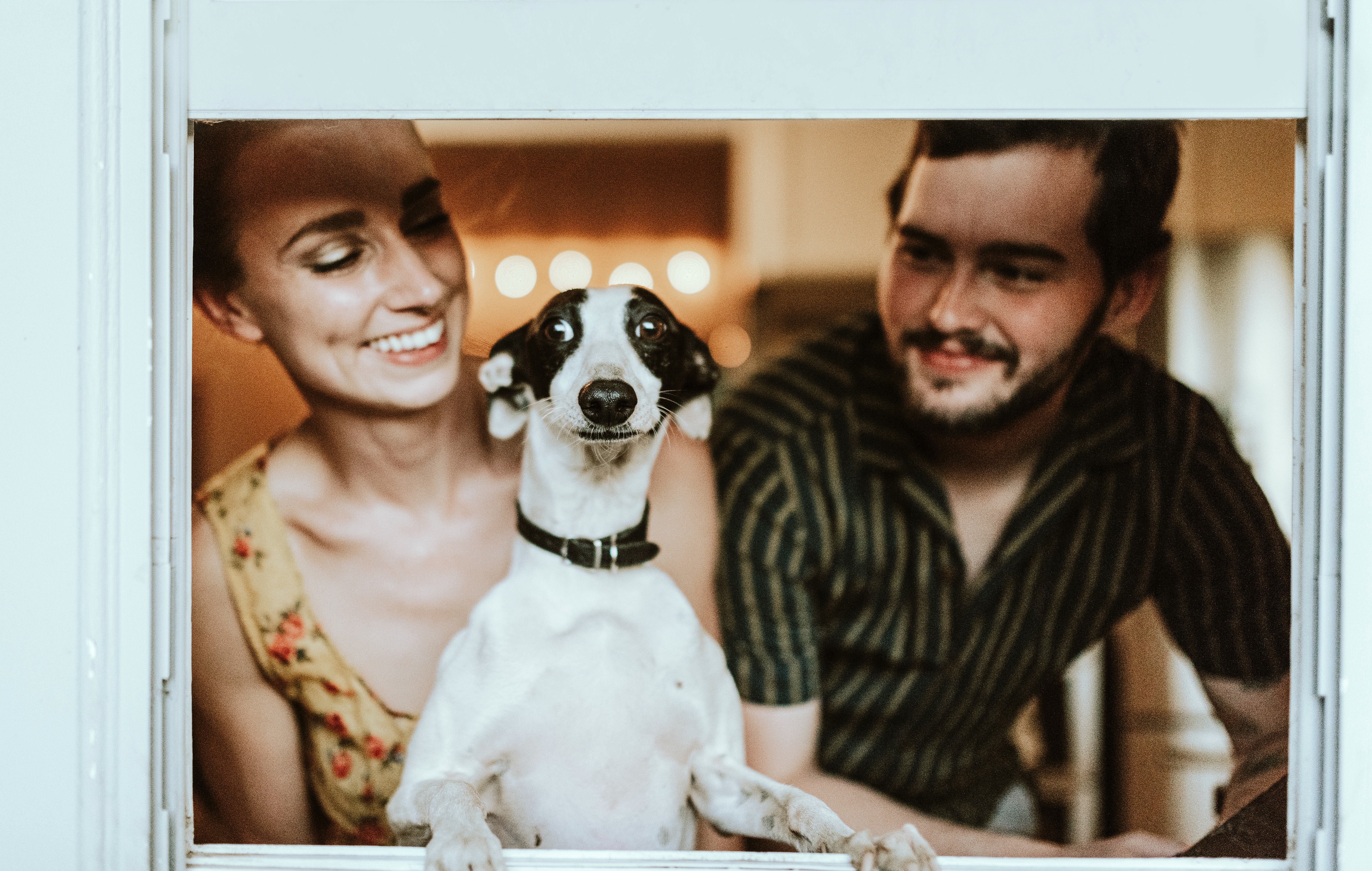 dog looking surprised sitting between two people