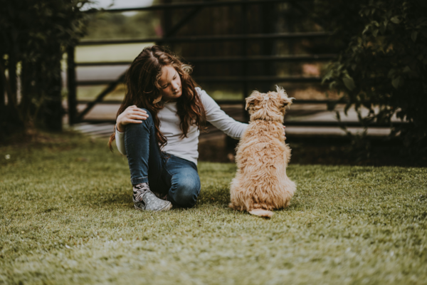 Are Cavapoos Good With Kids? Cavapoo Family Dog Guide 