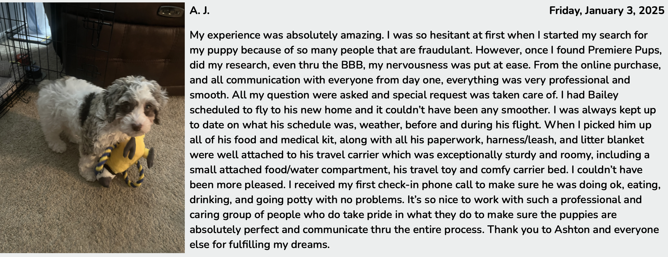 customer review of premier pups puppy bailey