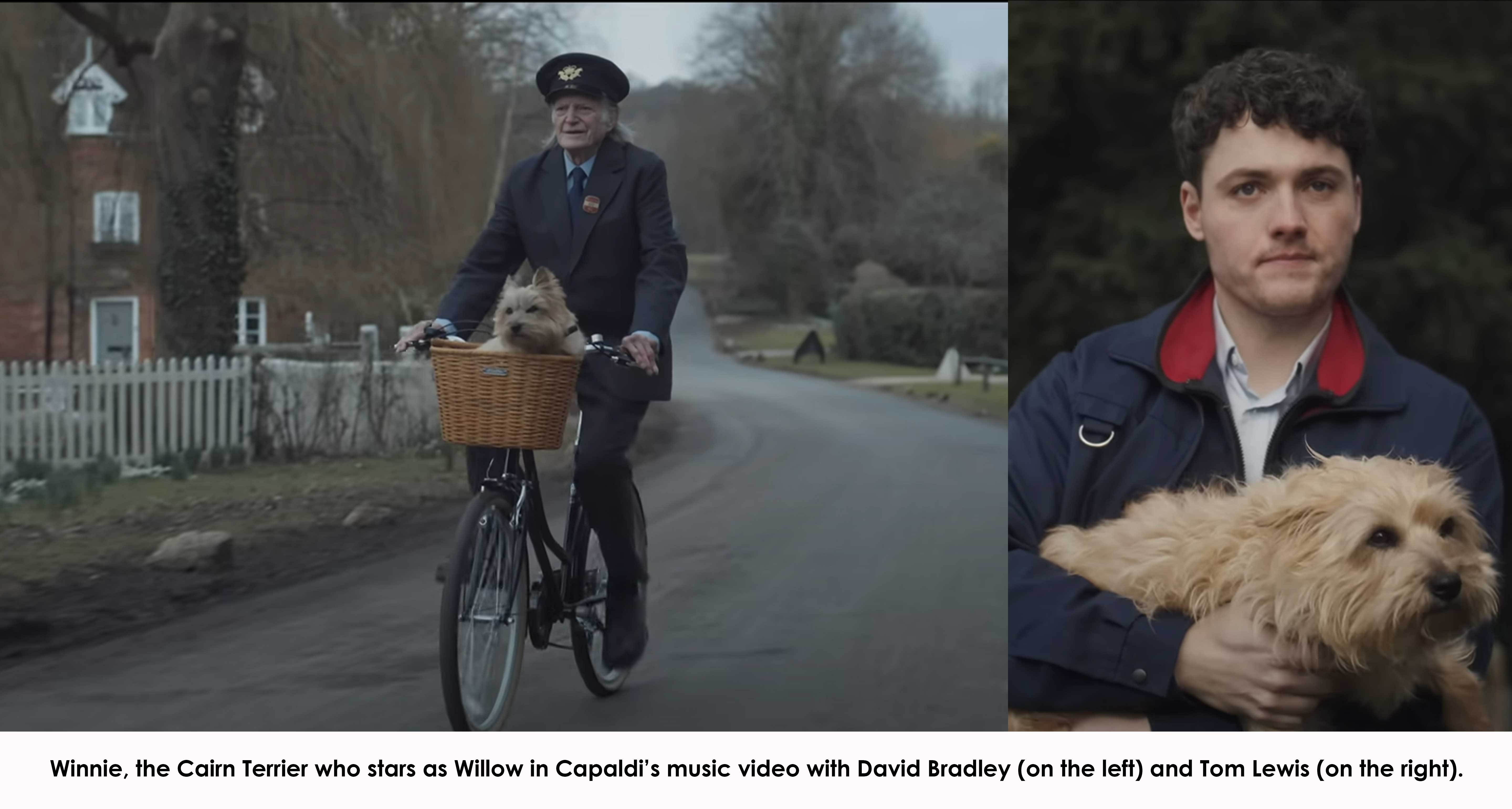 Winnie, the Cairn Terrier who stars as Willow in Capaldi's music video with David Bradley (on the left) and Tom Lewis (on the right)