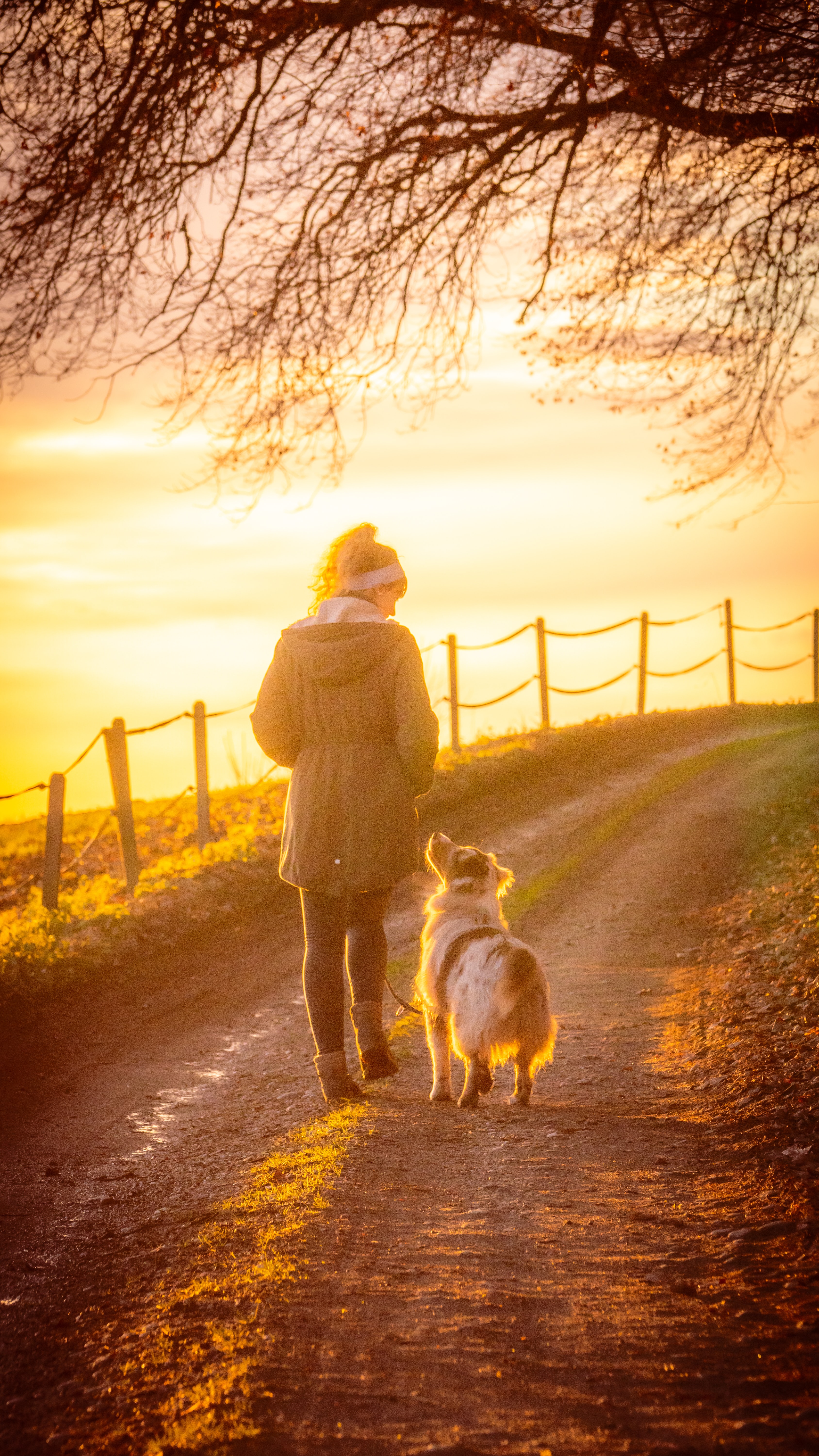 woman walking dog during sunset