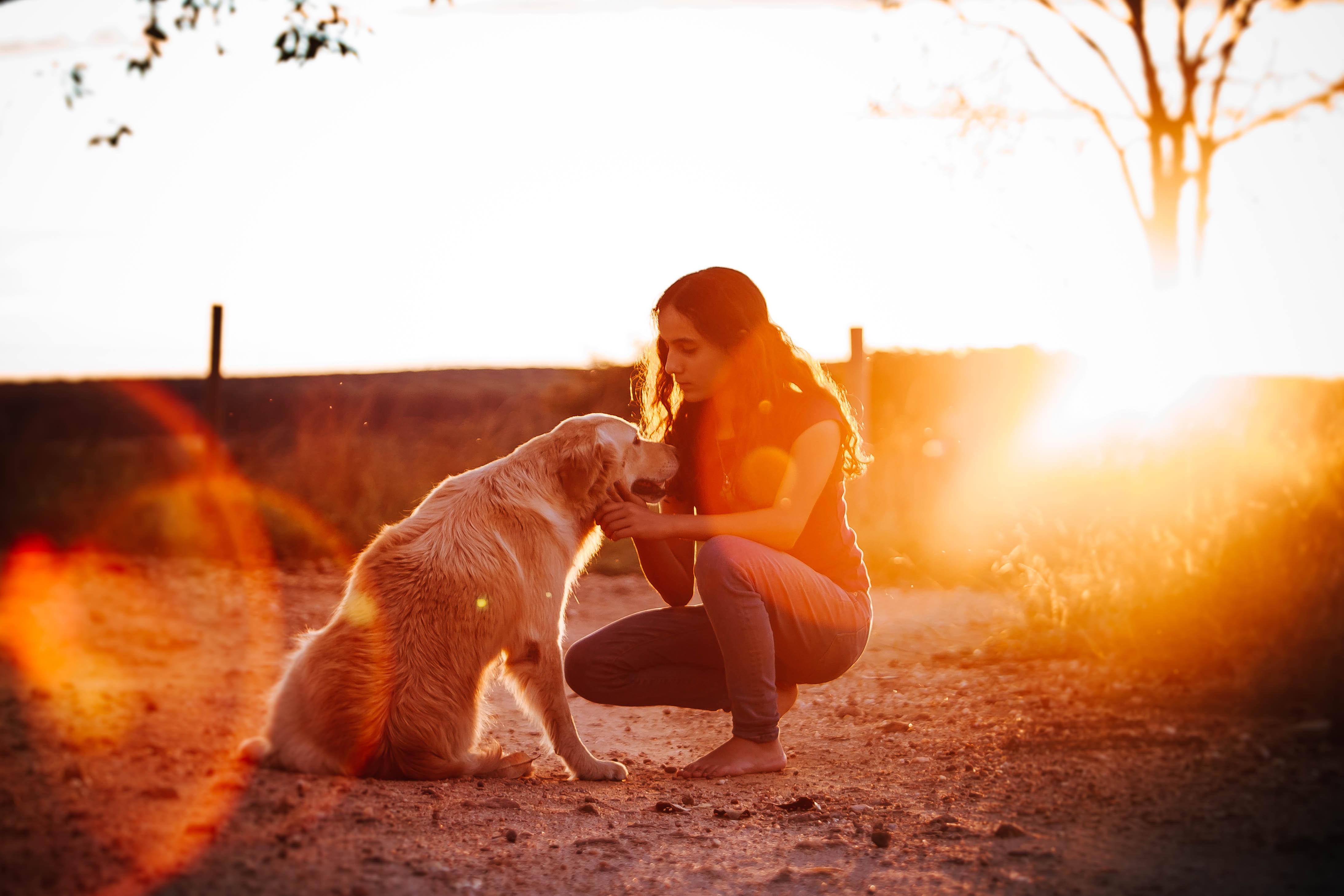 woman kneeling in front of her dog at sunset