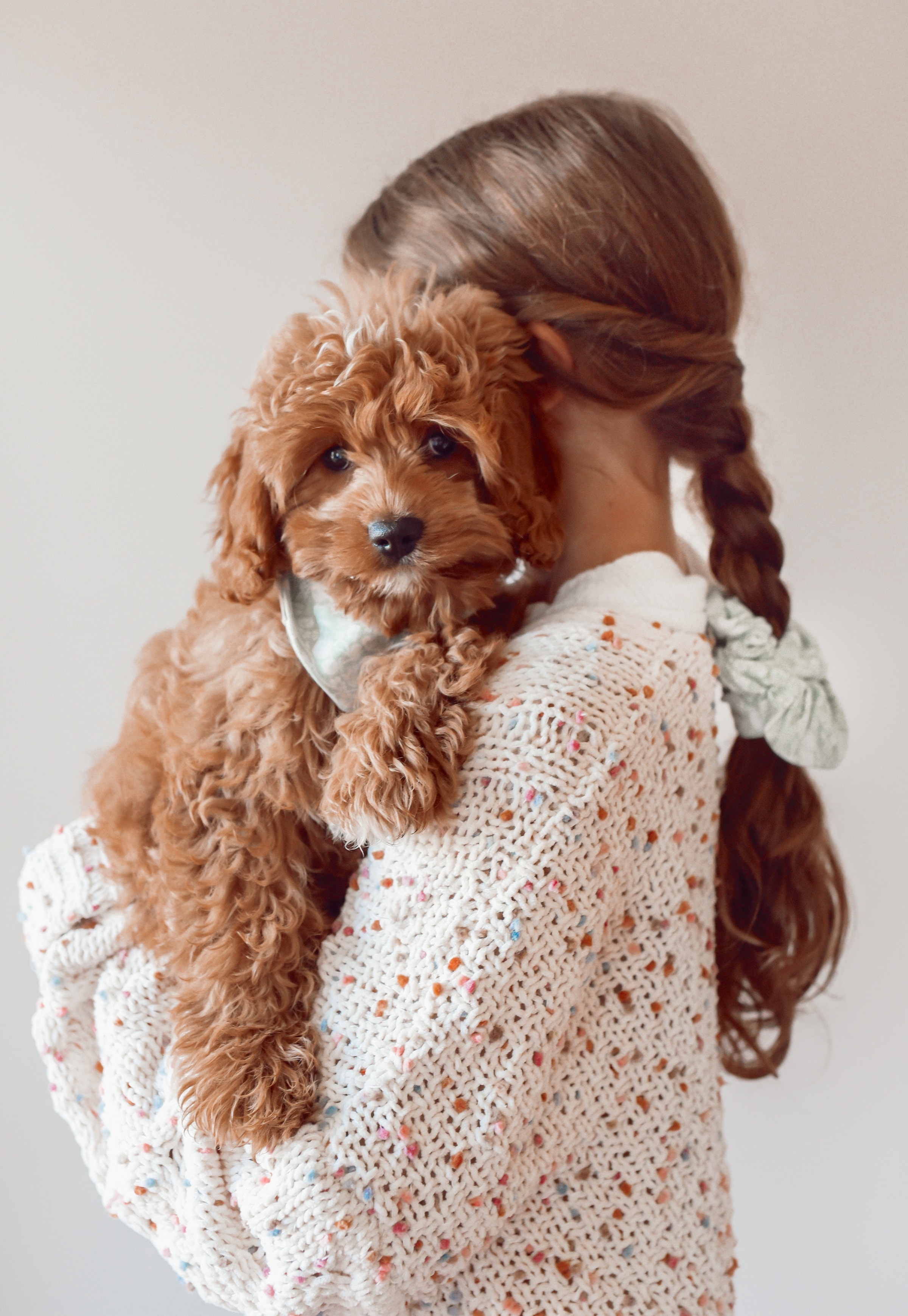 girl holding a brown puppy