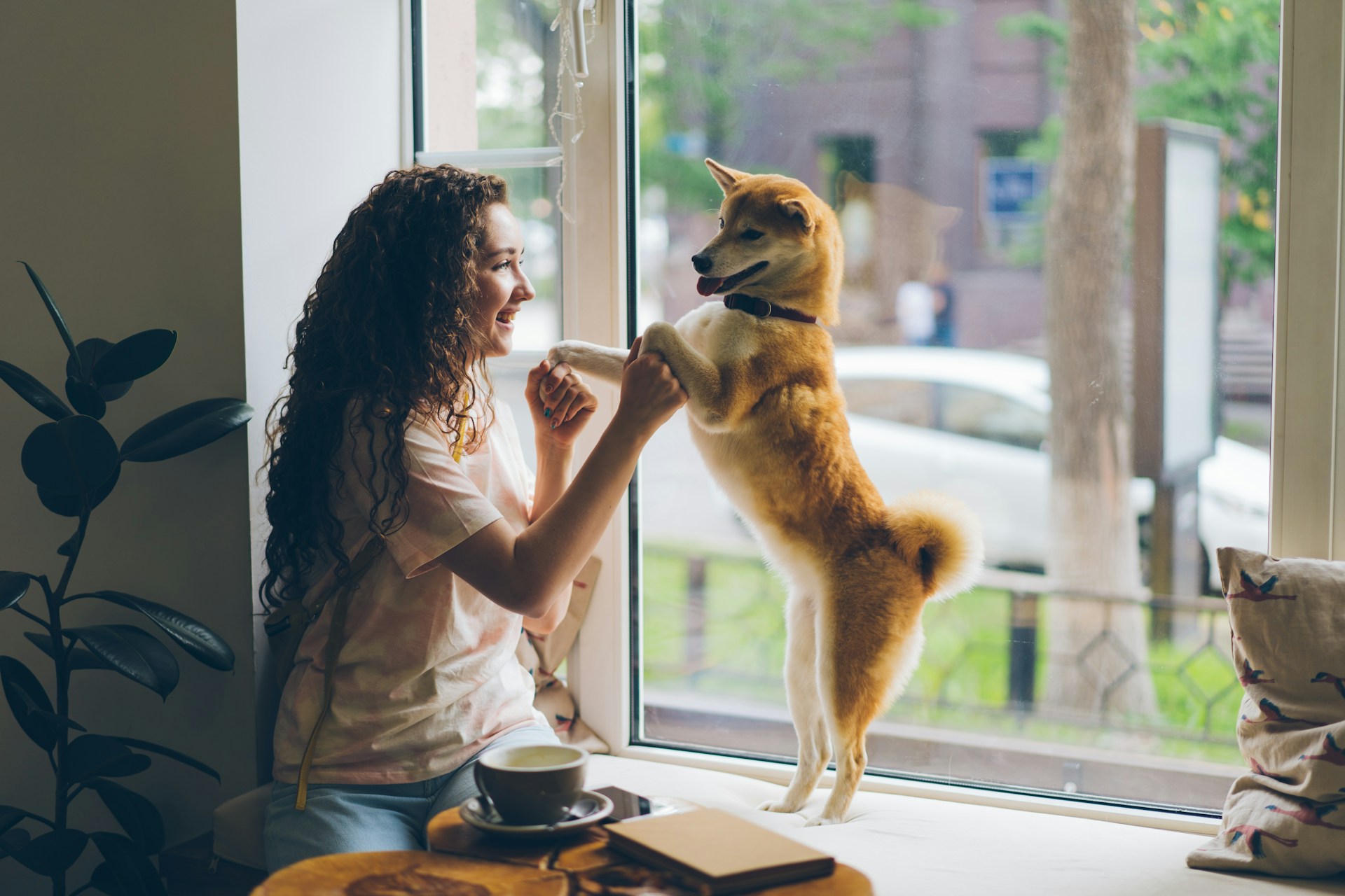 a woman sitting by a window holding her dog's front paws