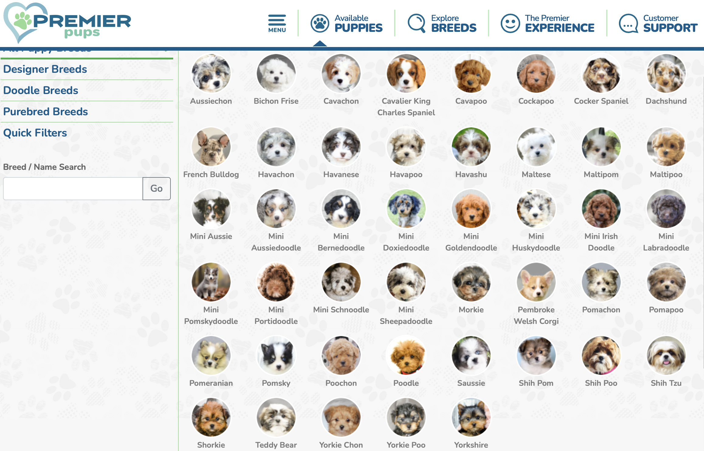 premier pups available puppies menu 