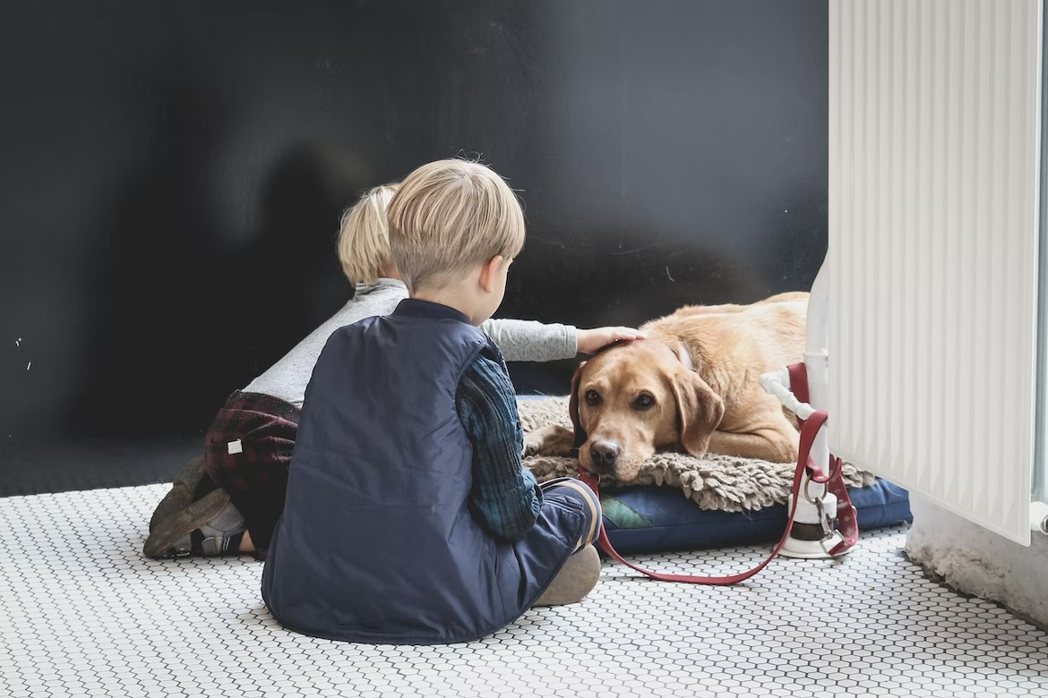 Dog being trained by multiple family members highlighting the importance of consistency