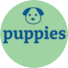 View All Puppies For Sale - Premier Pups