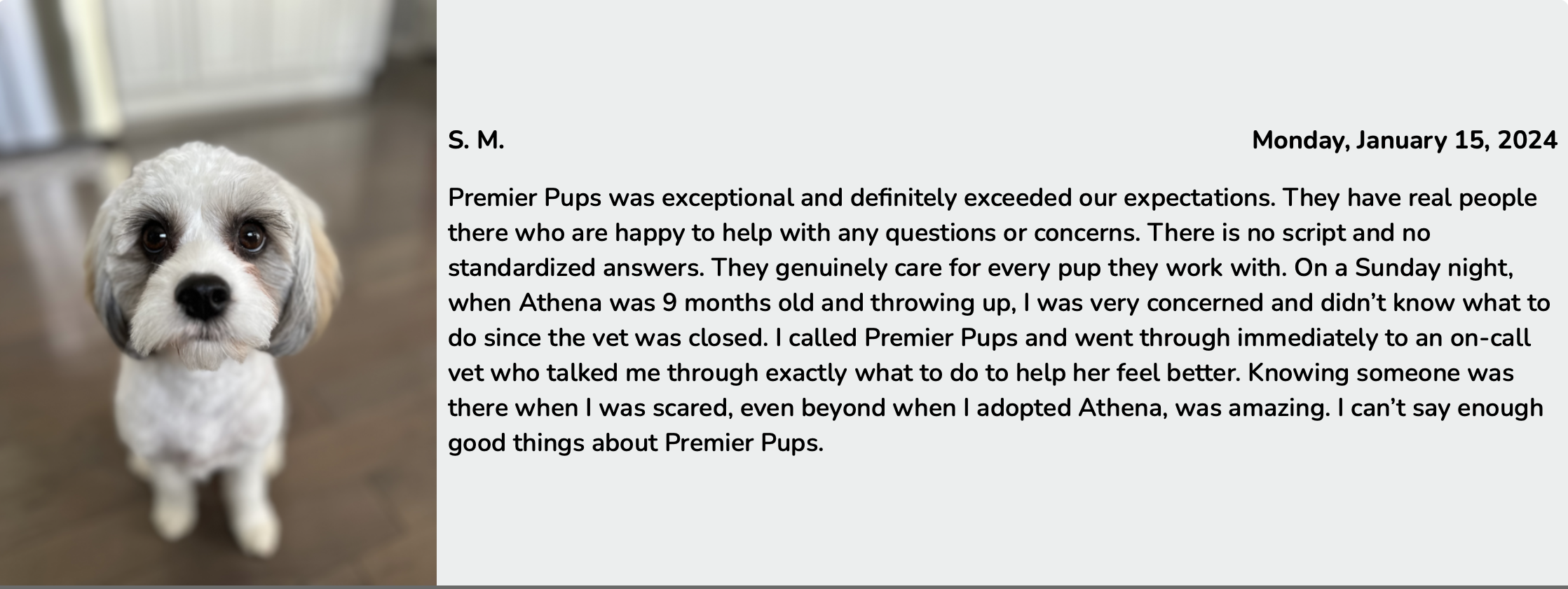 Premier Pups Review
