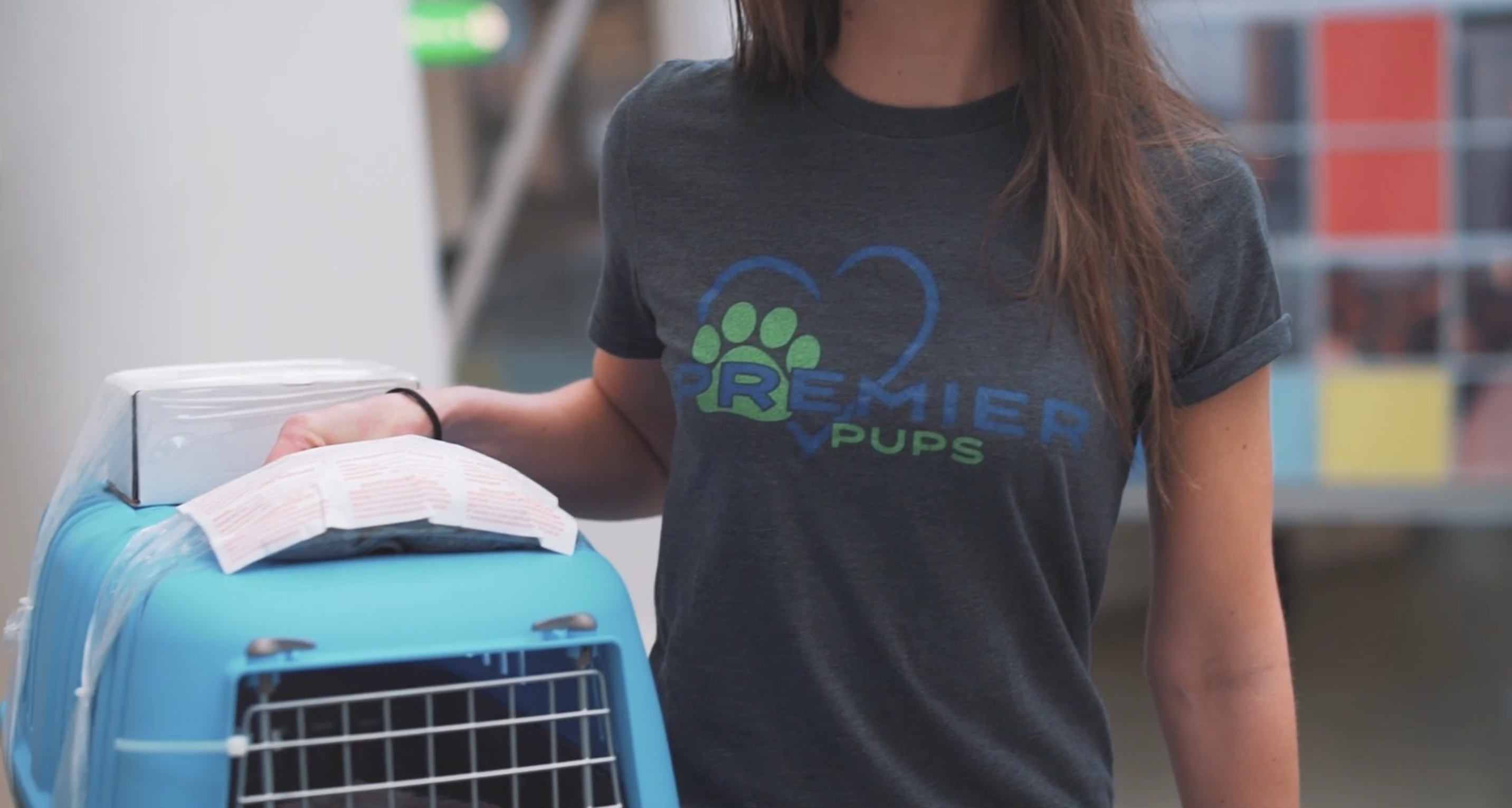 woman wearing a premier pups tshirt carrying a dog travel crate