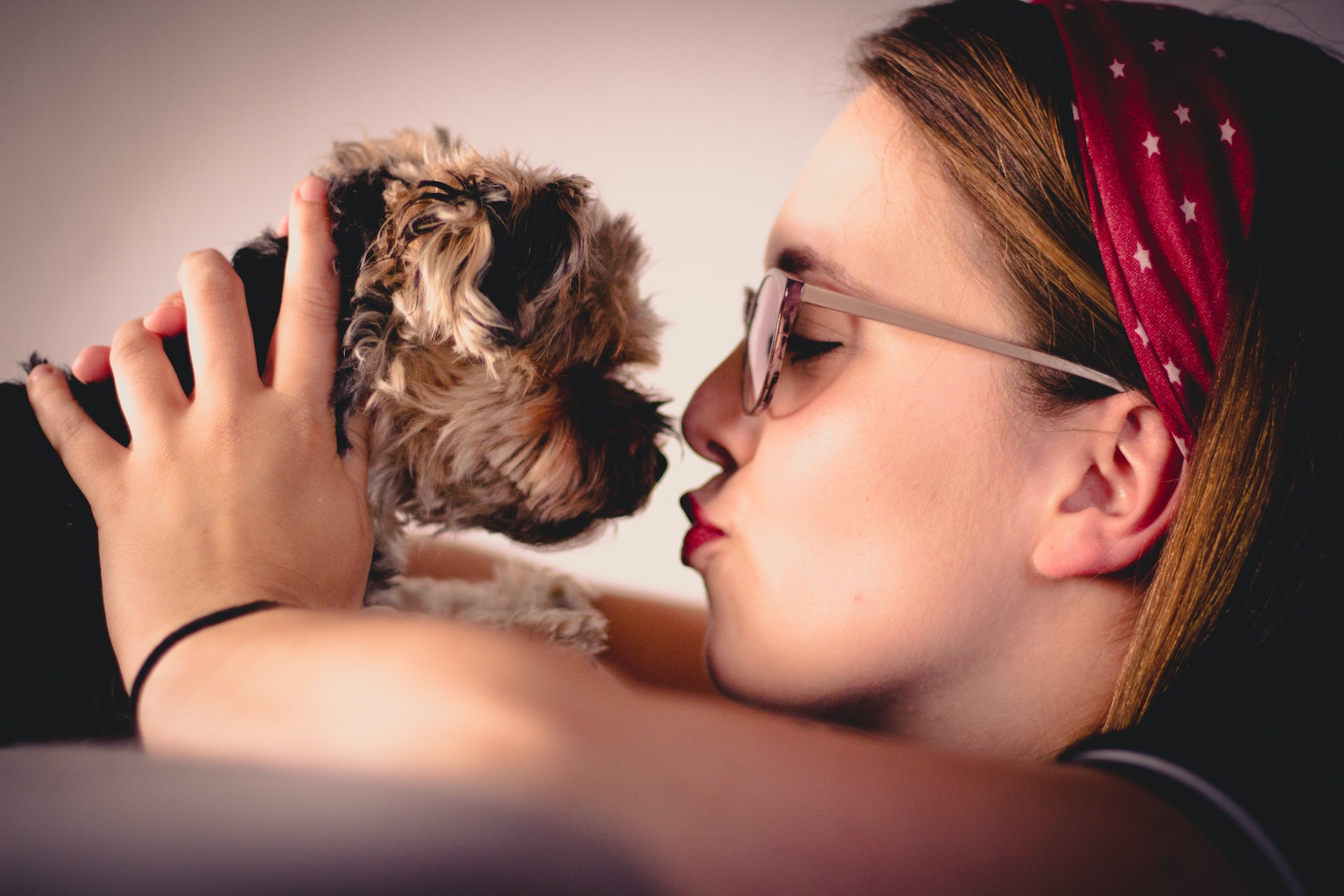 puppy kissing human