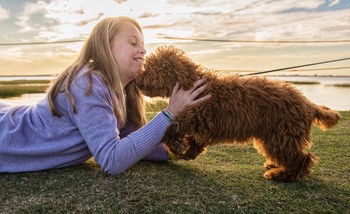 cockapoo dog sitting in the grass with a young girl