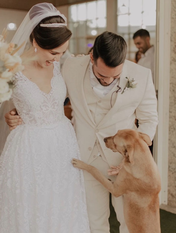 young married couple in wedding attire with stray dog