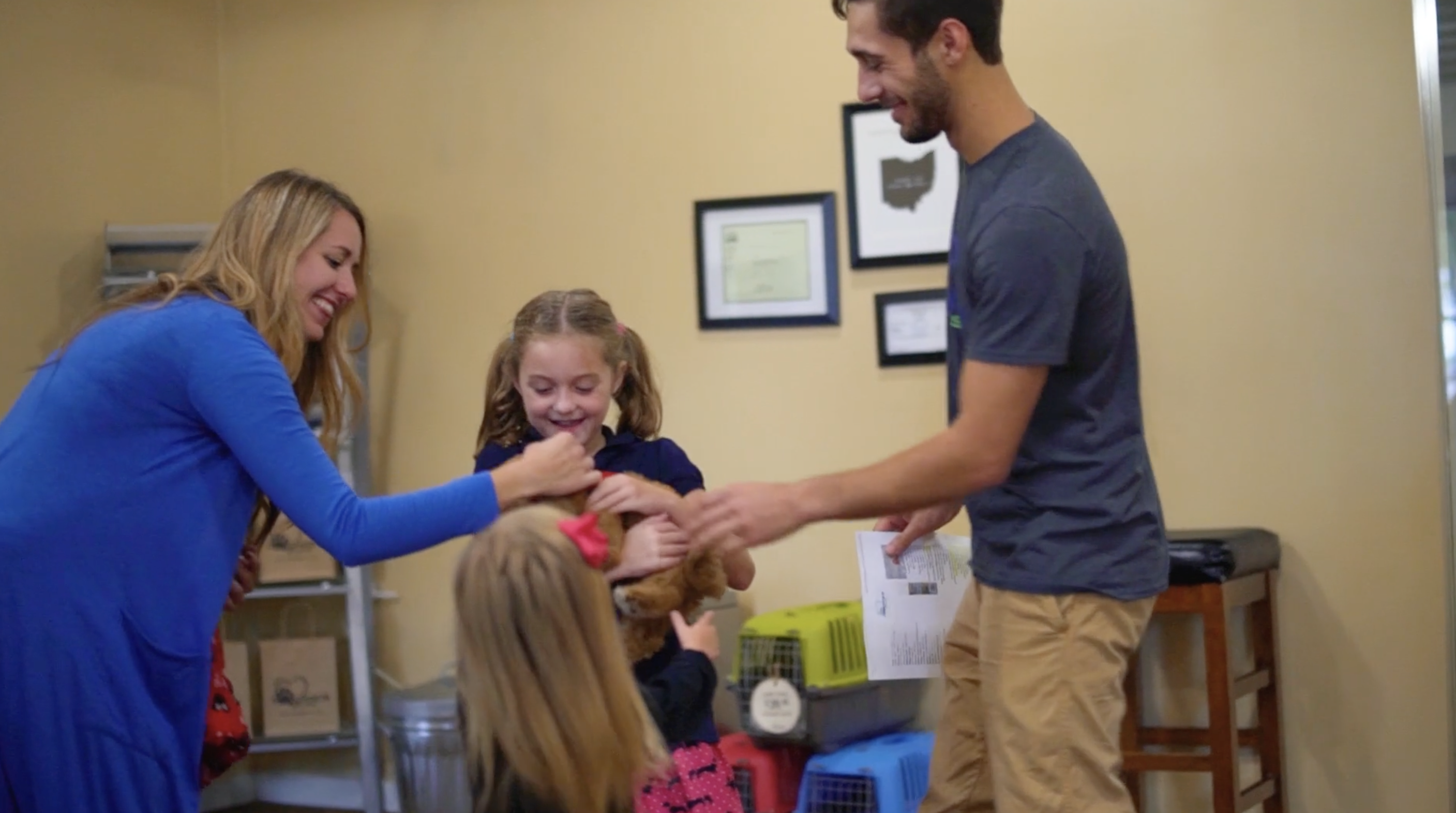 premier pups puppy adoption 