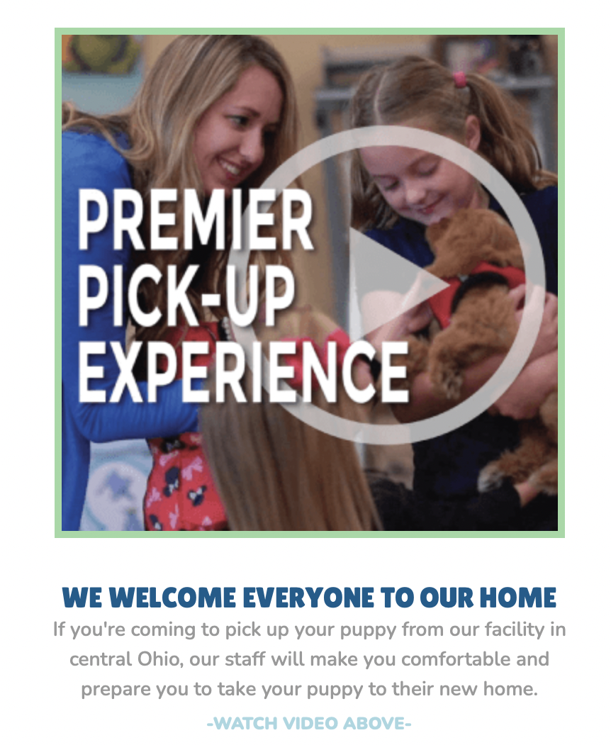 premier pups pick up experience