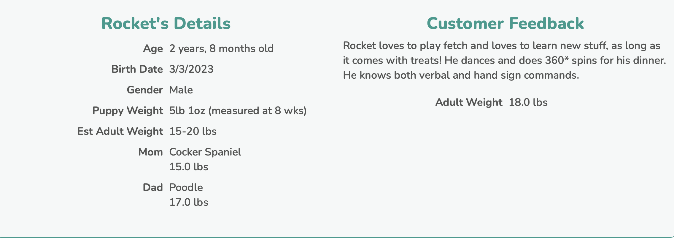 premier pups customer feedback cockapoo owner talks about what their dog likes