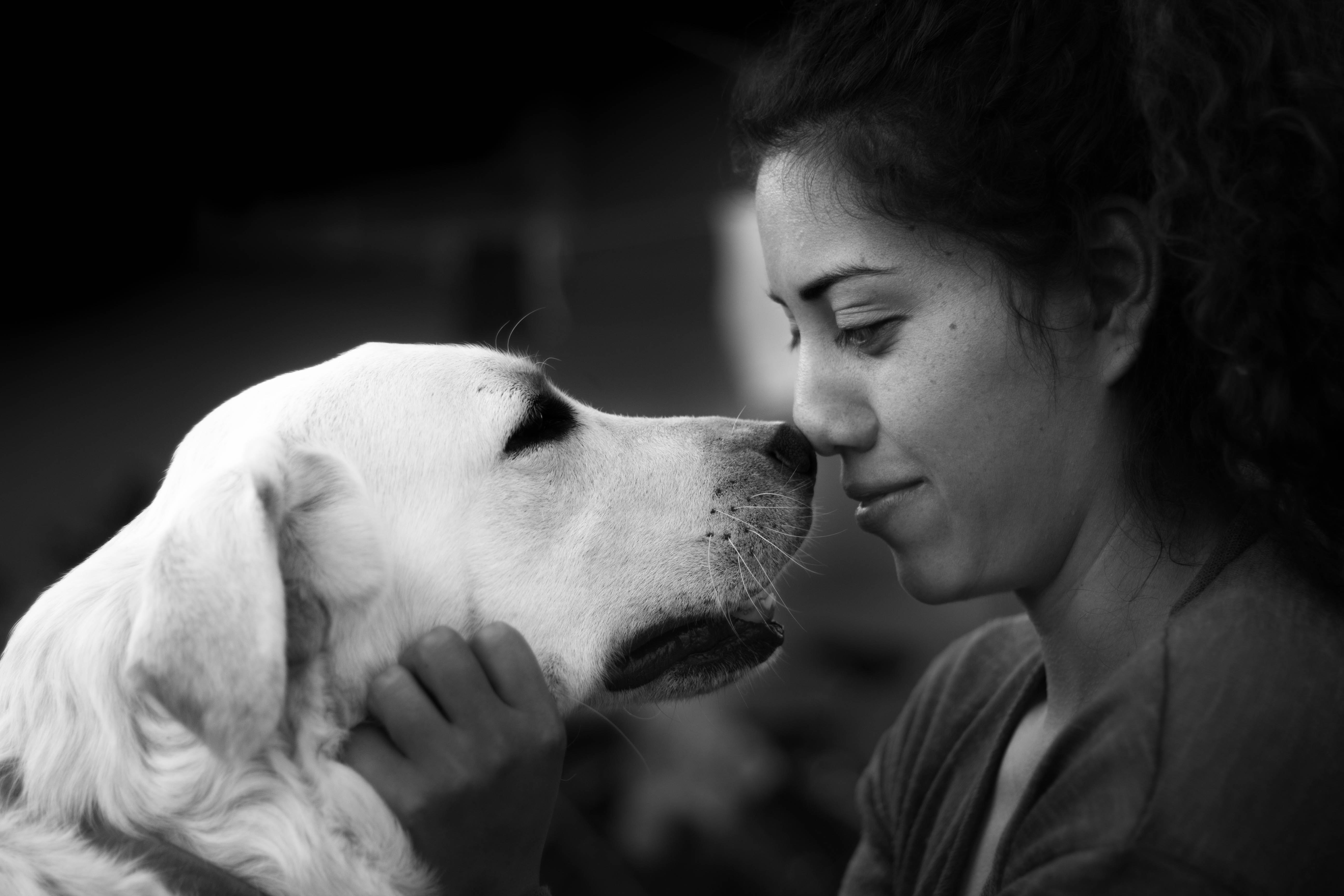 woman making eye contact with her dog