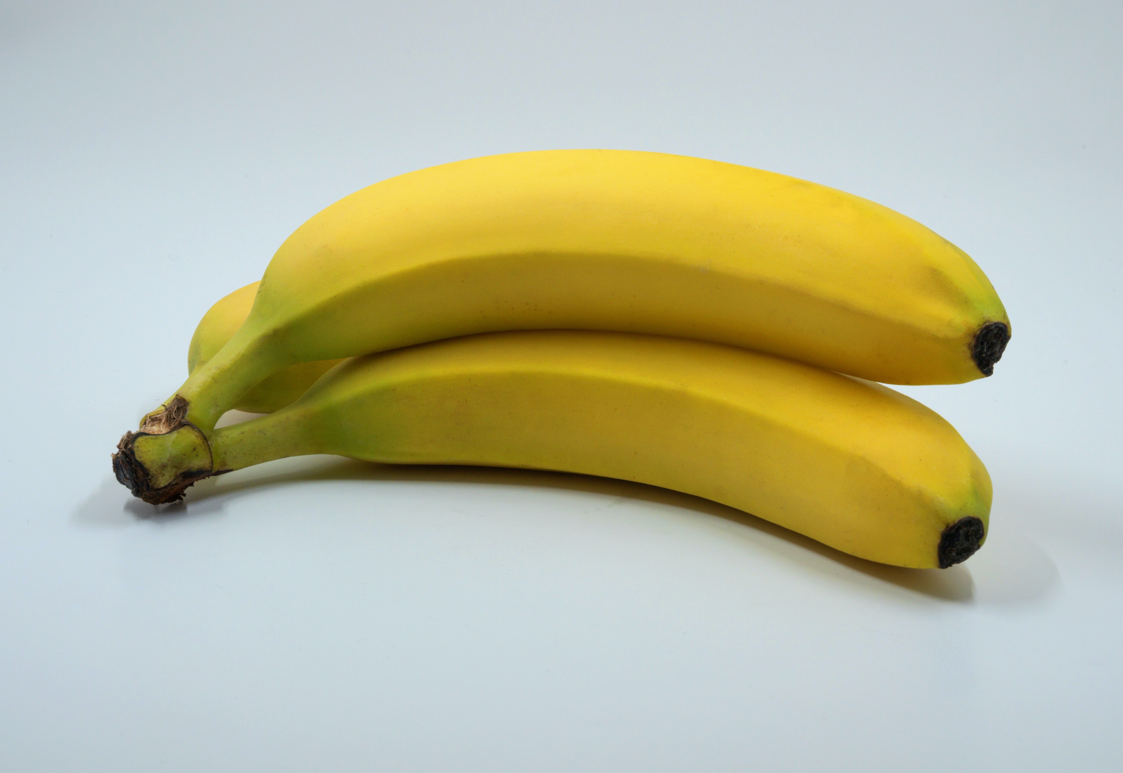 three bananas on a white background