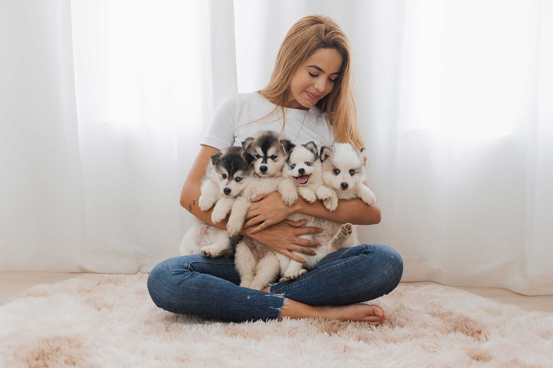 woman holding four young puppies