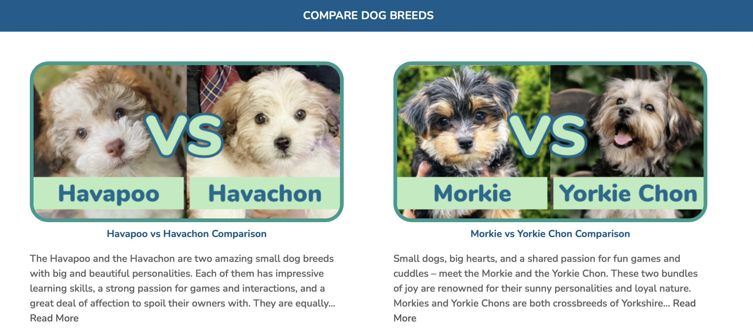 premier pups image of breed comparison articles