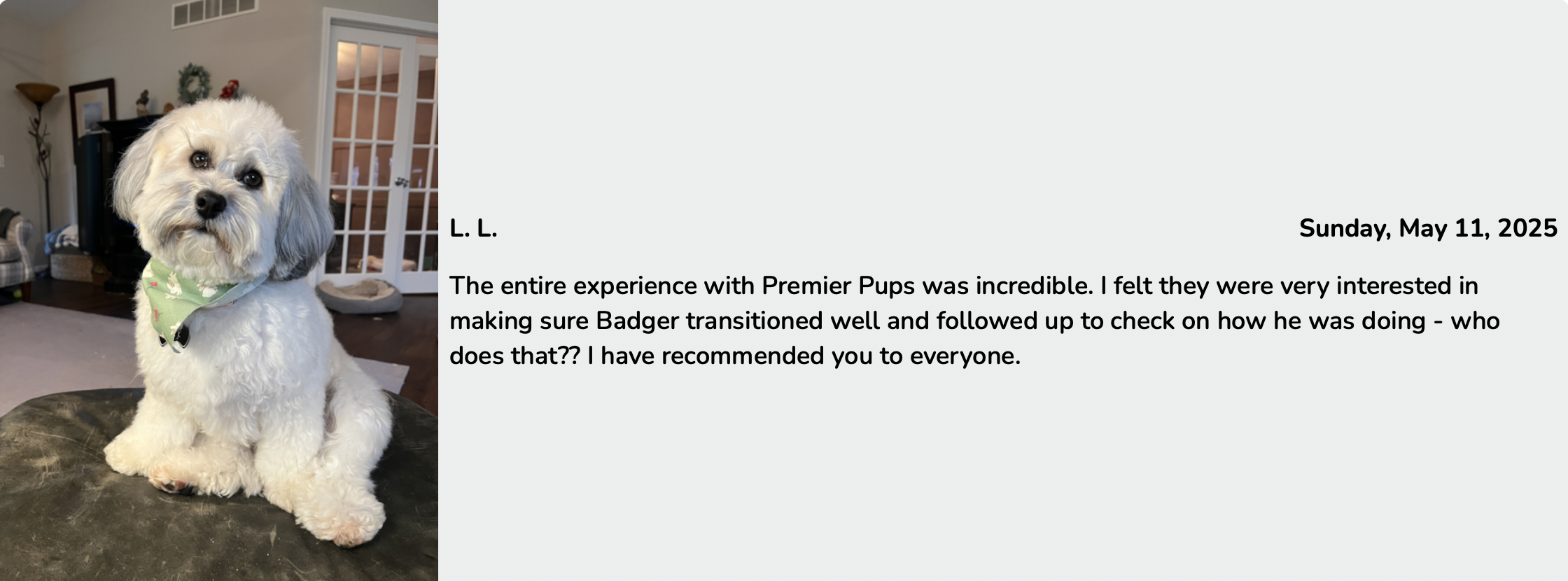 premier pups reviews 3